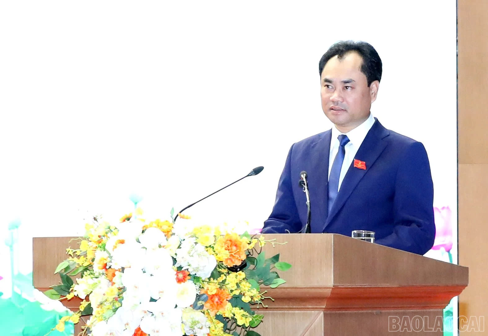 baolaocai-br_anh-bt.jpg
