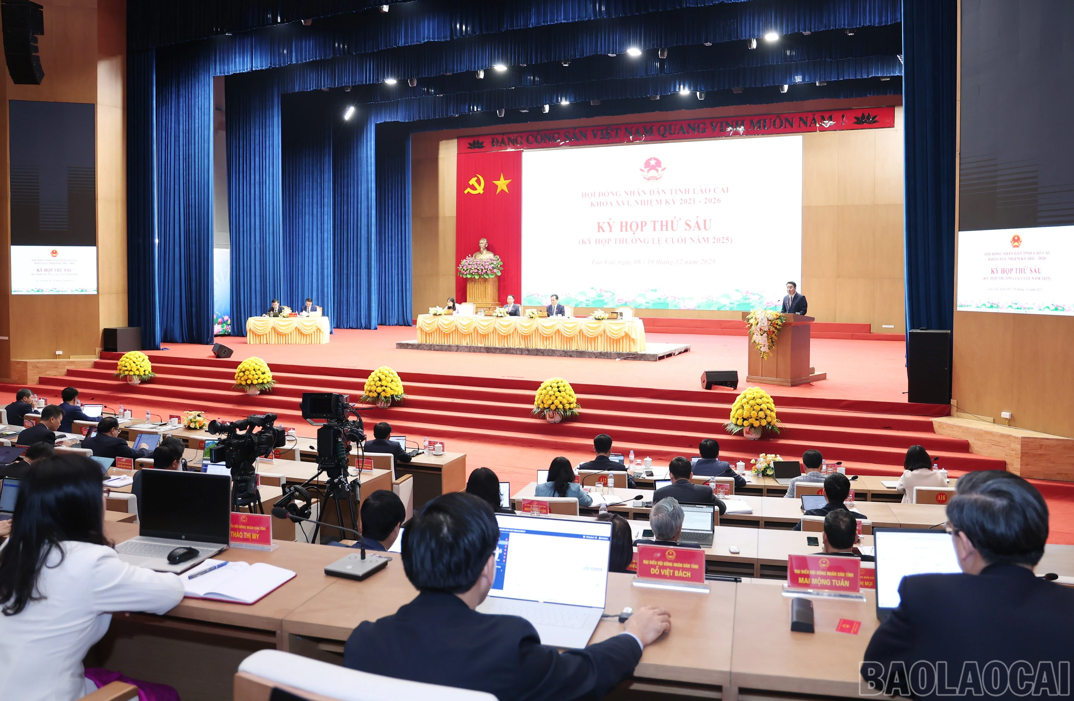 baolaocai-br_img-3217.jpg
