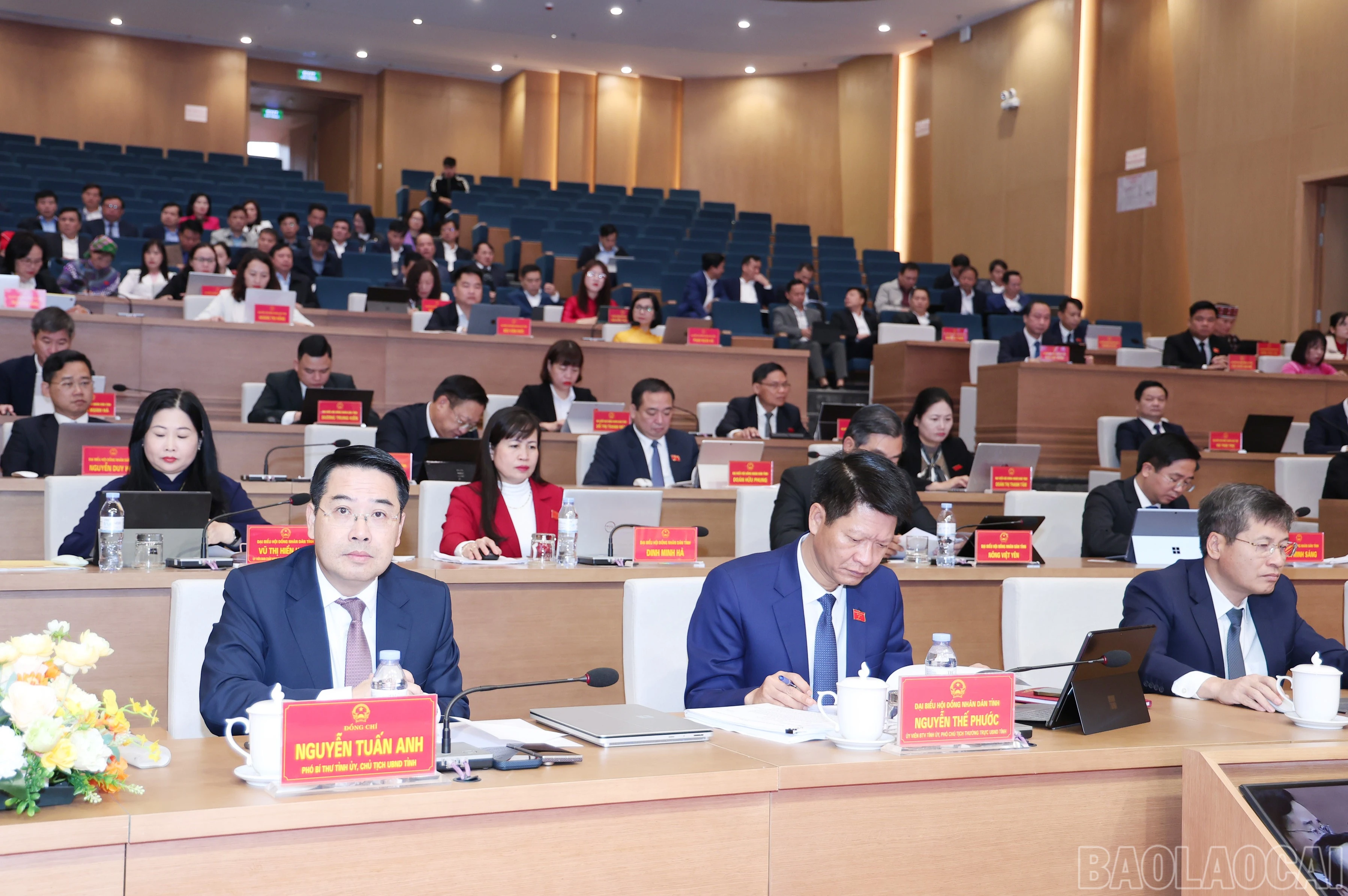 baolaocai-br_img-2904.jpg