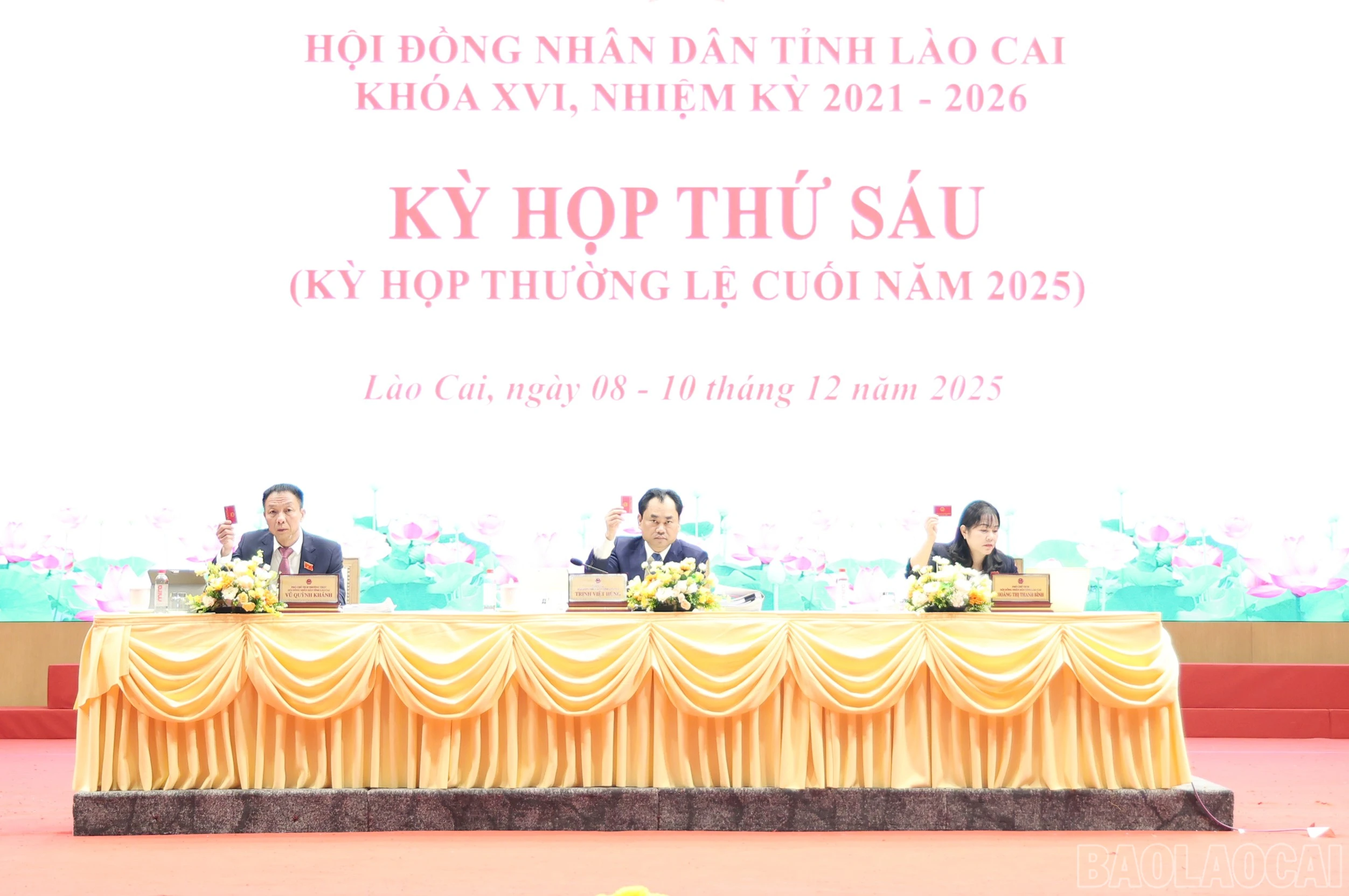 baolaocai-br_img-3281.jpg