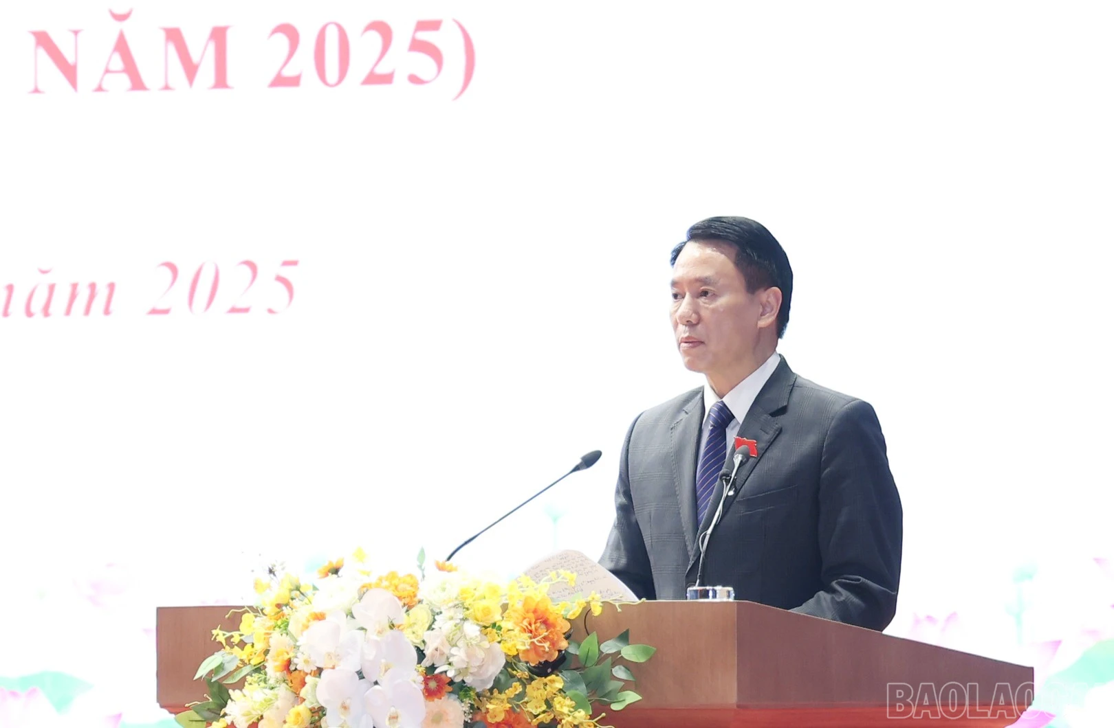 baolaocai-br_img-3012.jpg
