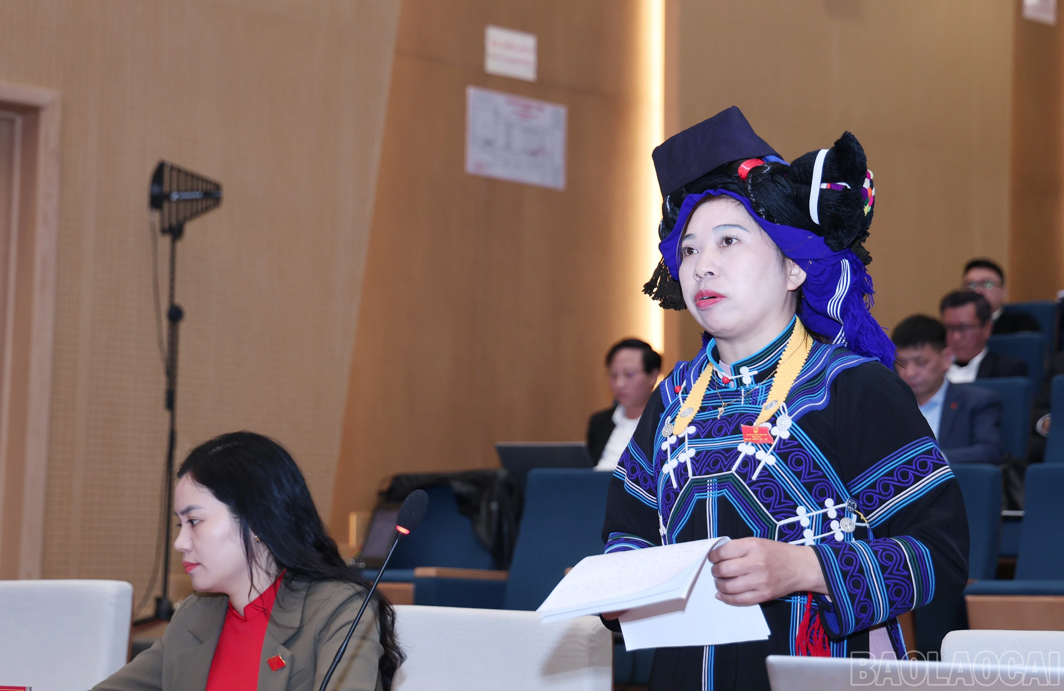 baolaocai-br_img-3087.jpg