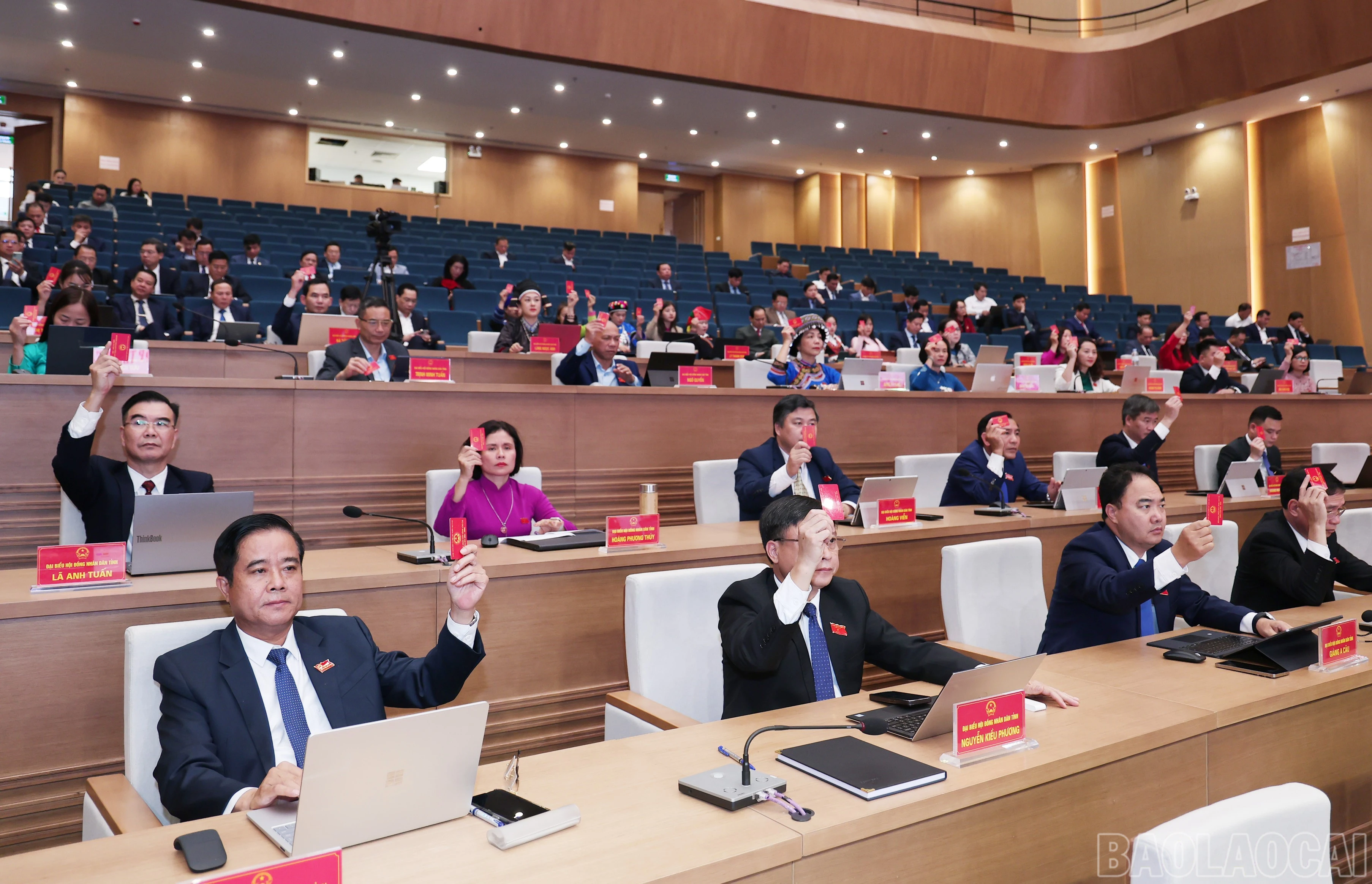 baolaocai-br_img-3294.jpg