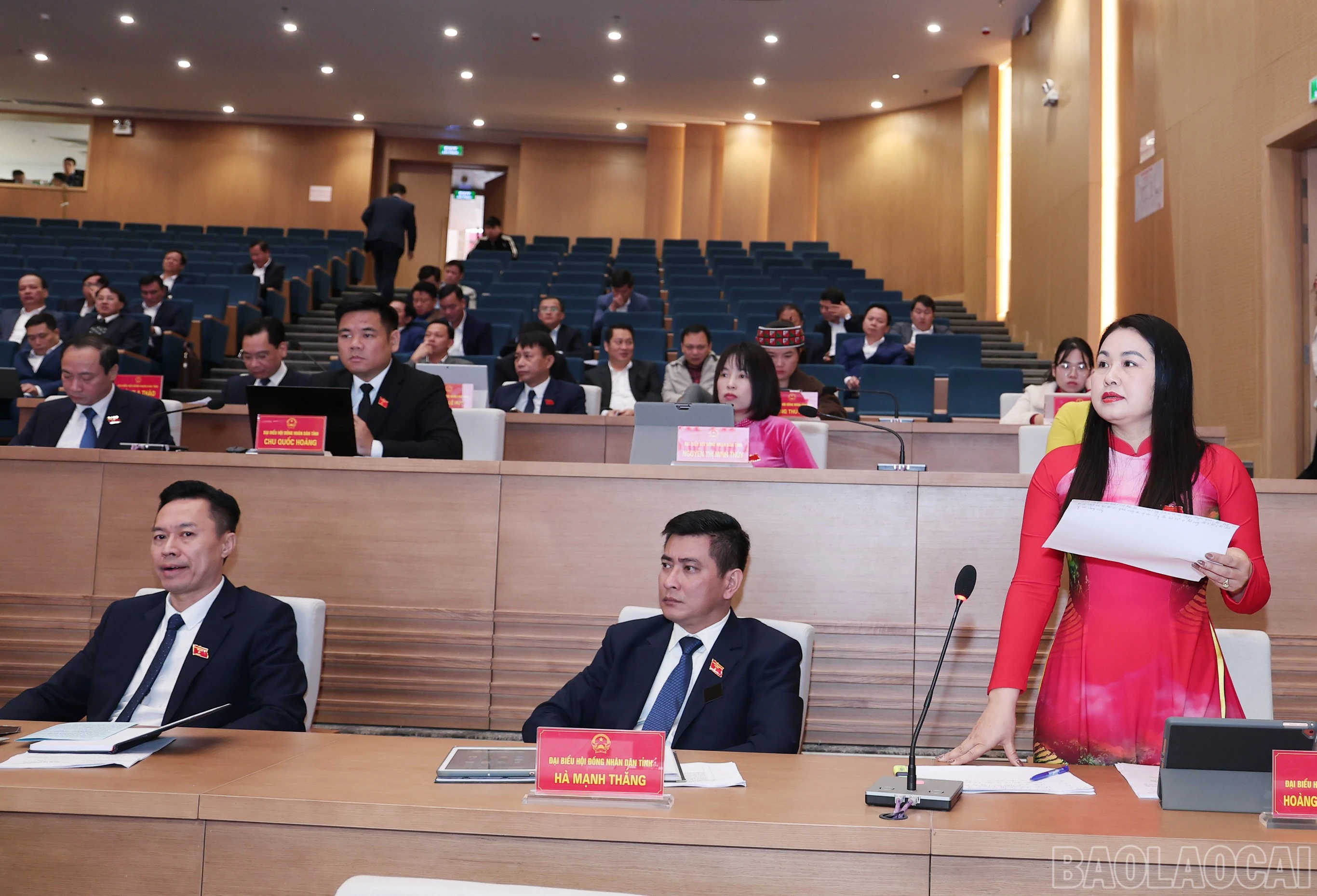 baolaocai-br_img-3178.jpg