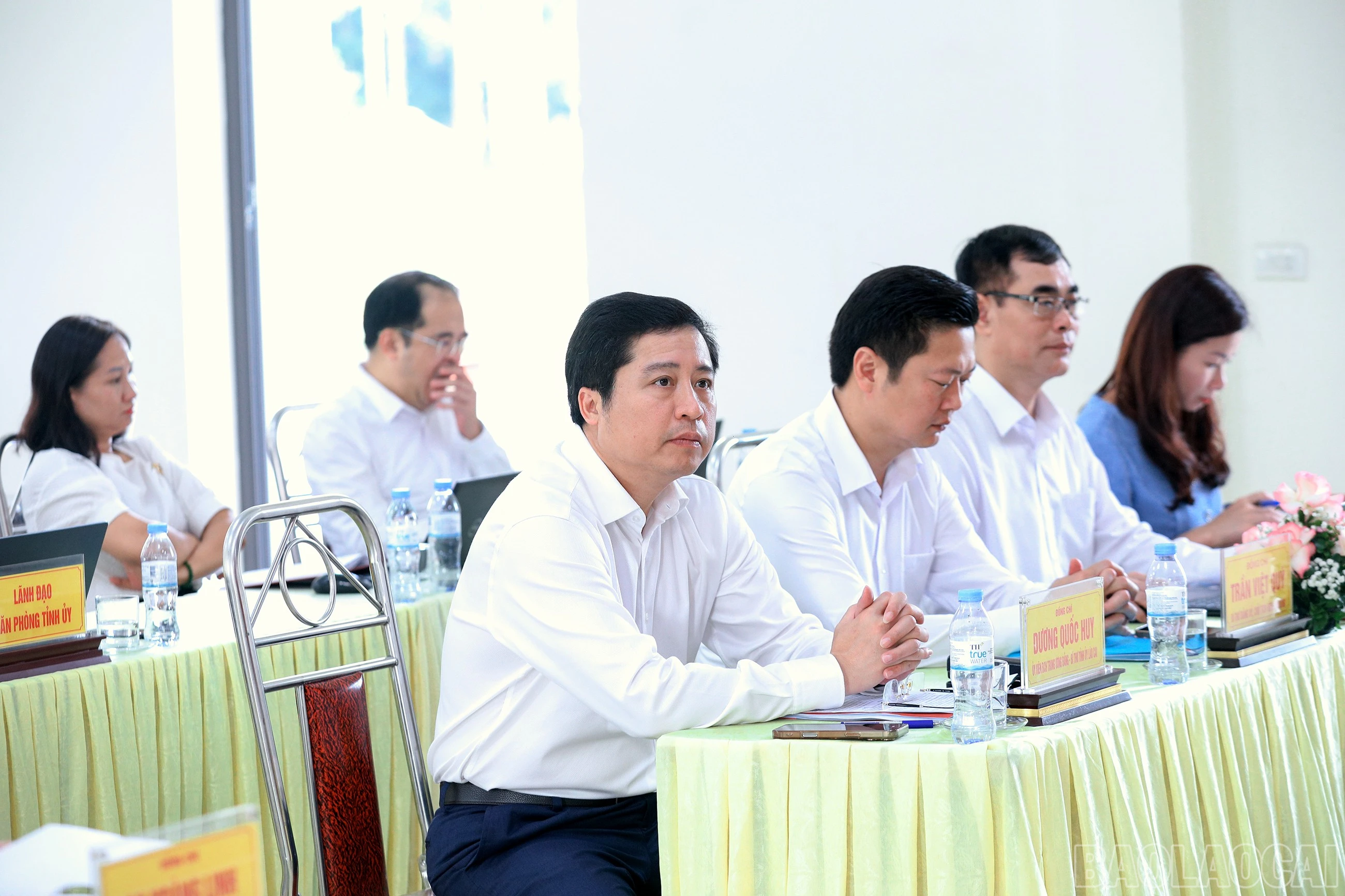 baolaocai-br_7j5a8033.jpg