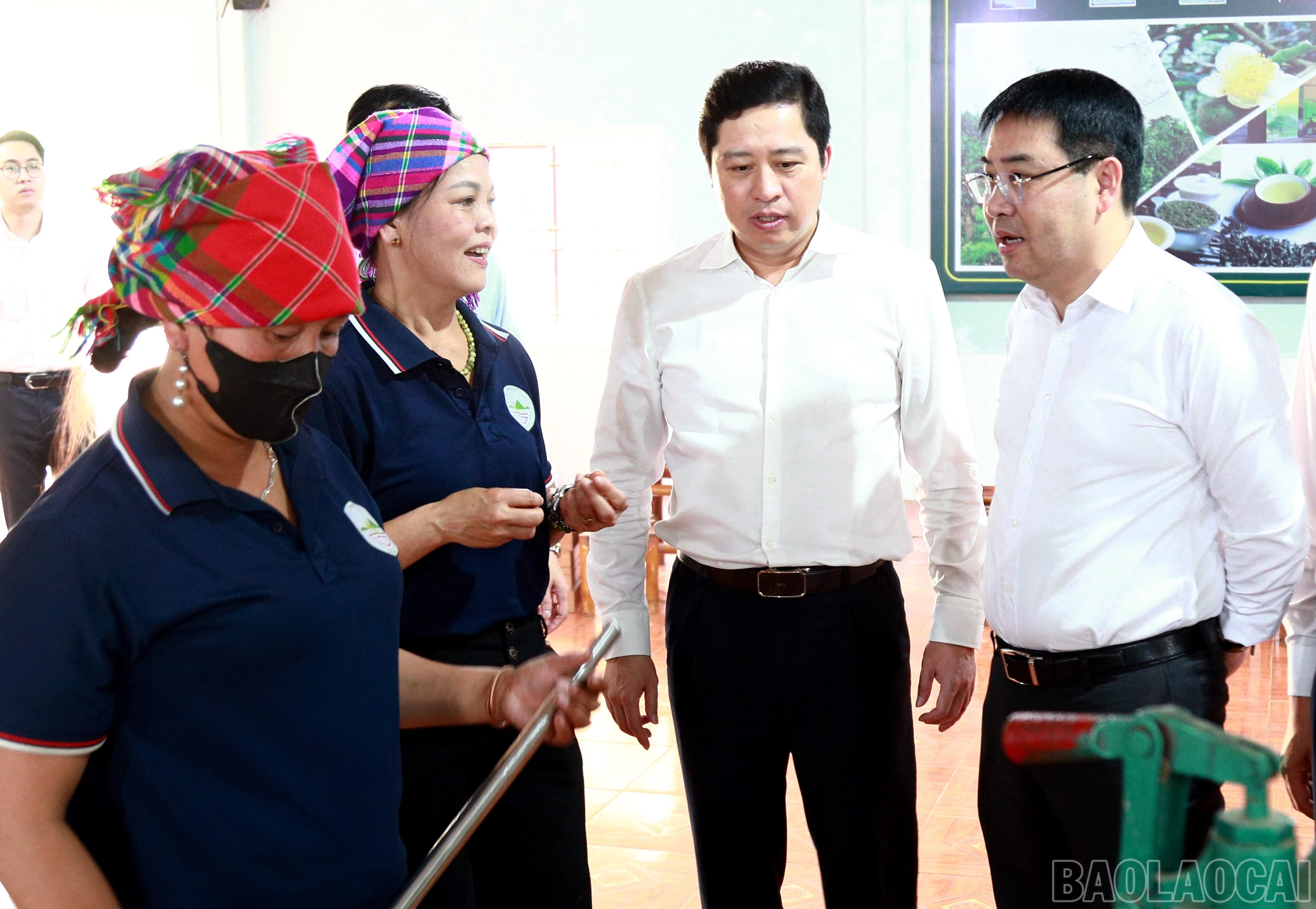 baolaocai-br_7j5a2133.jpg