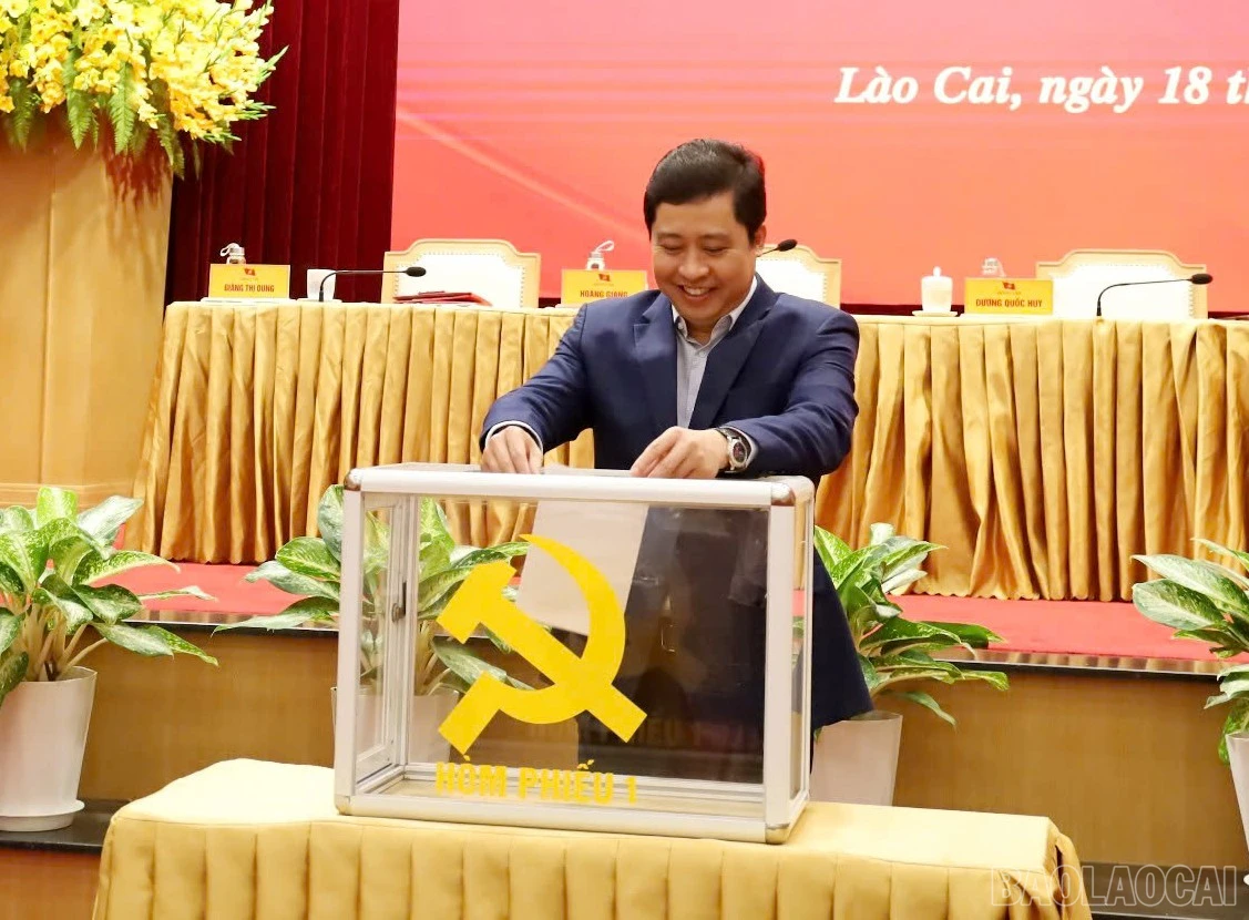 baolaocai-br_z7631774948618-84b9336318b8dc5125c35254d93e3344.jpg