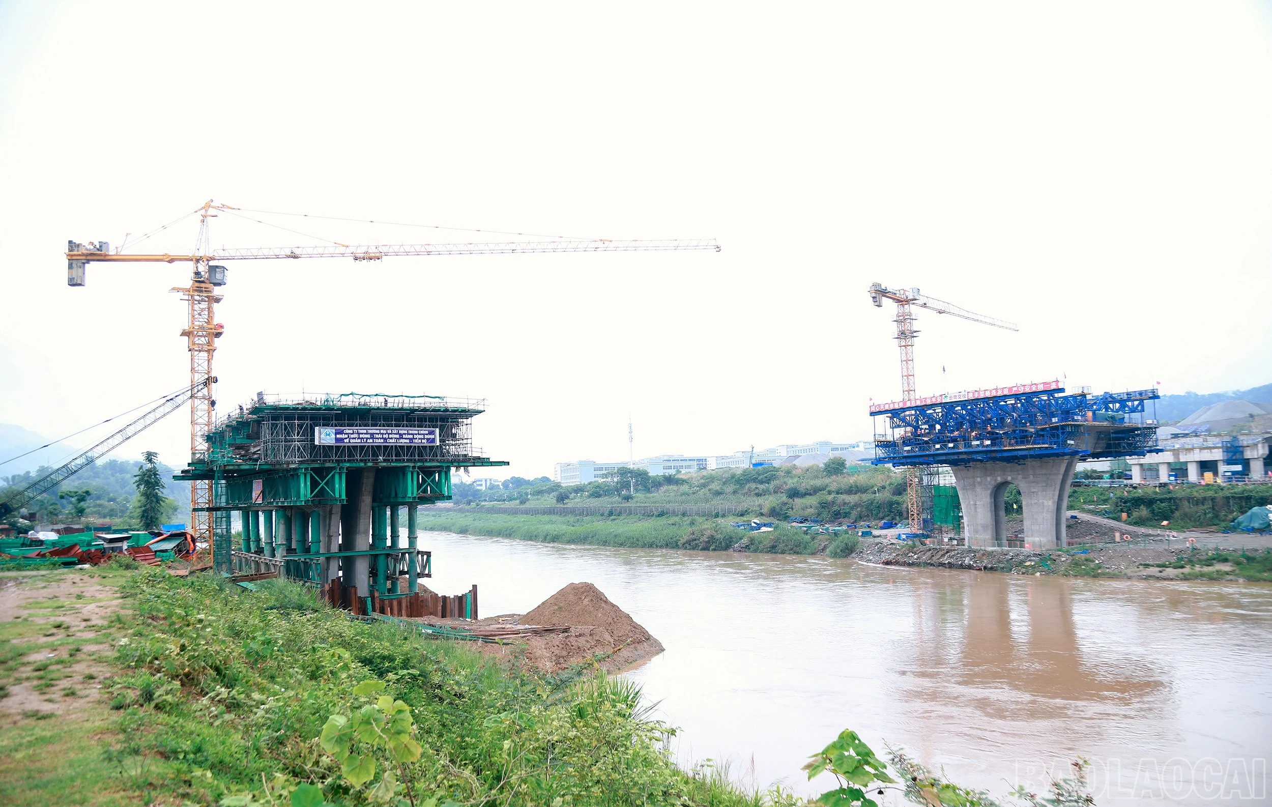 baolaocai-br_7j5a5999.jpg