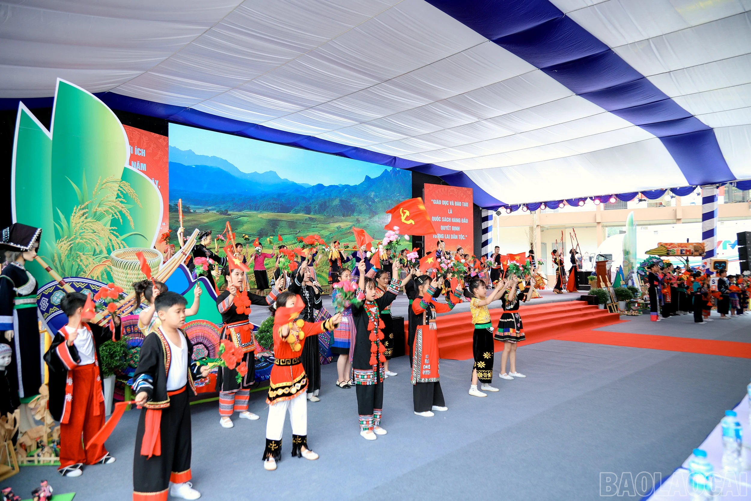 baolaocai-br_7j5a5385.jpg
