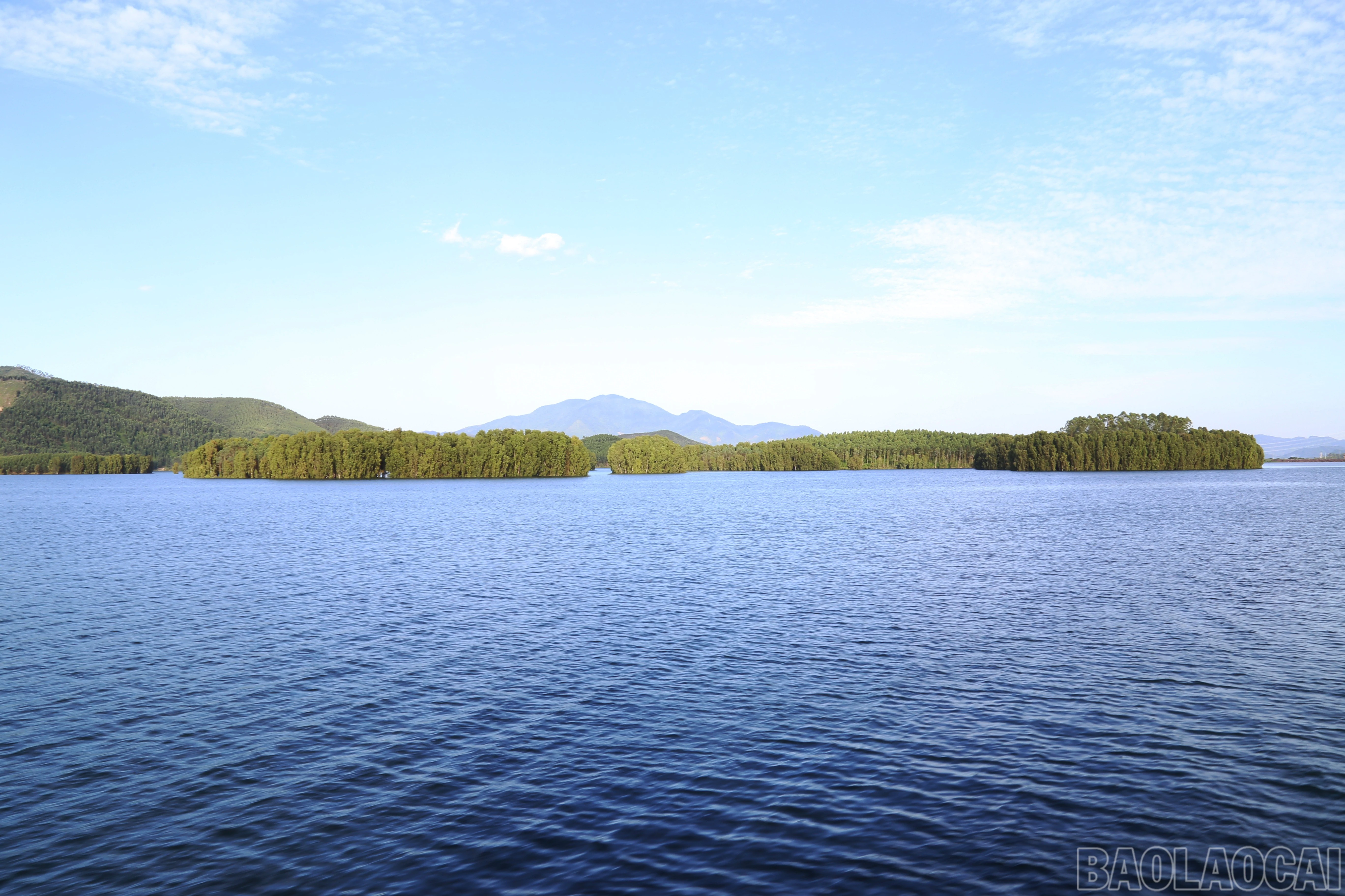 baolaocai-br_img-1214.jpg