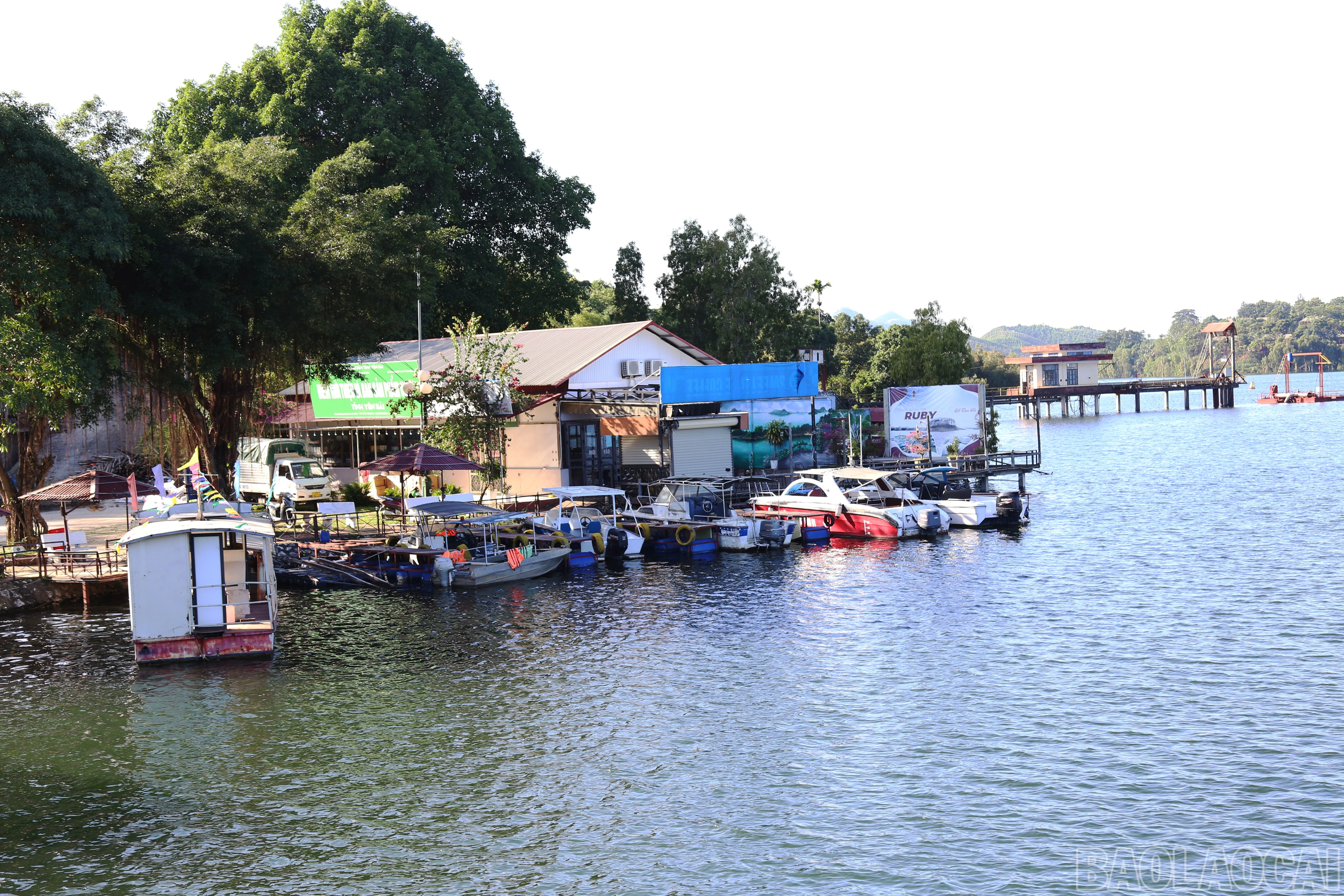 baolaocai-br_img-1174.jpg