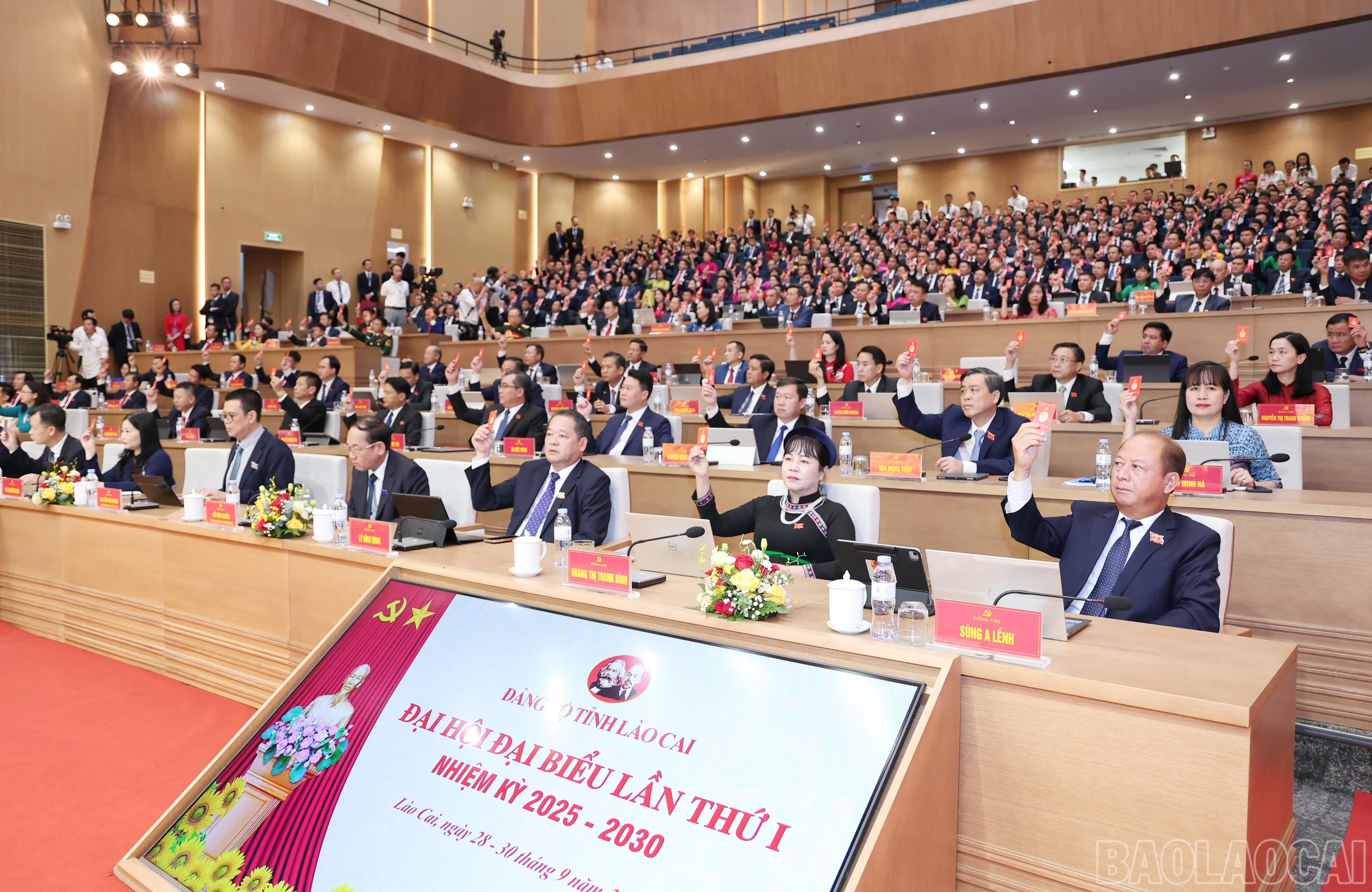 baolaocai-br_img-1612.jpg