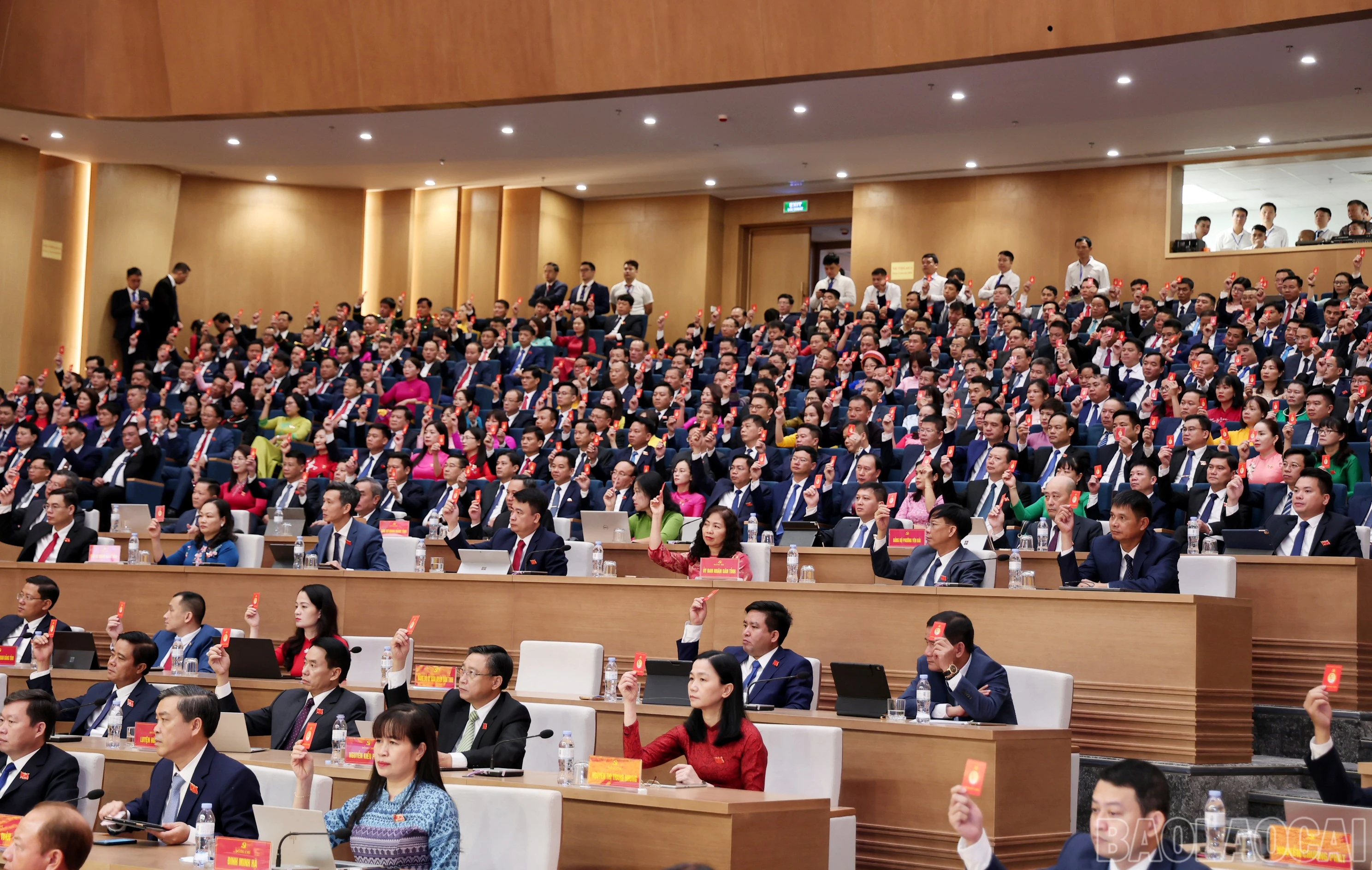 baolaocai-br_img-1617.jpg