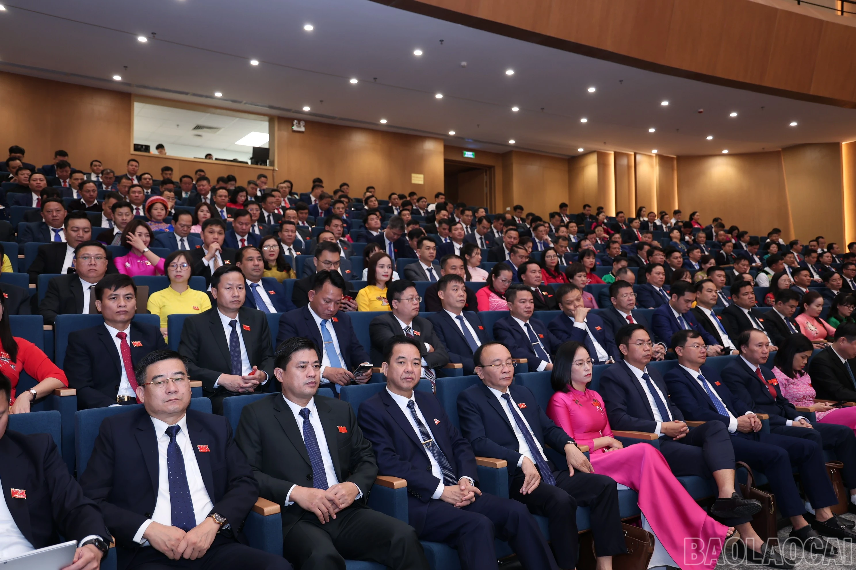 baolaocai-br_img-1727.jpg