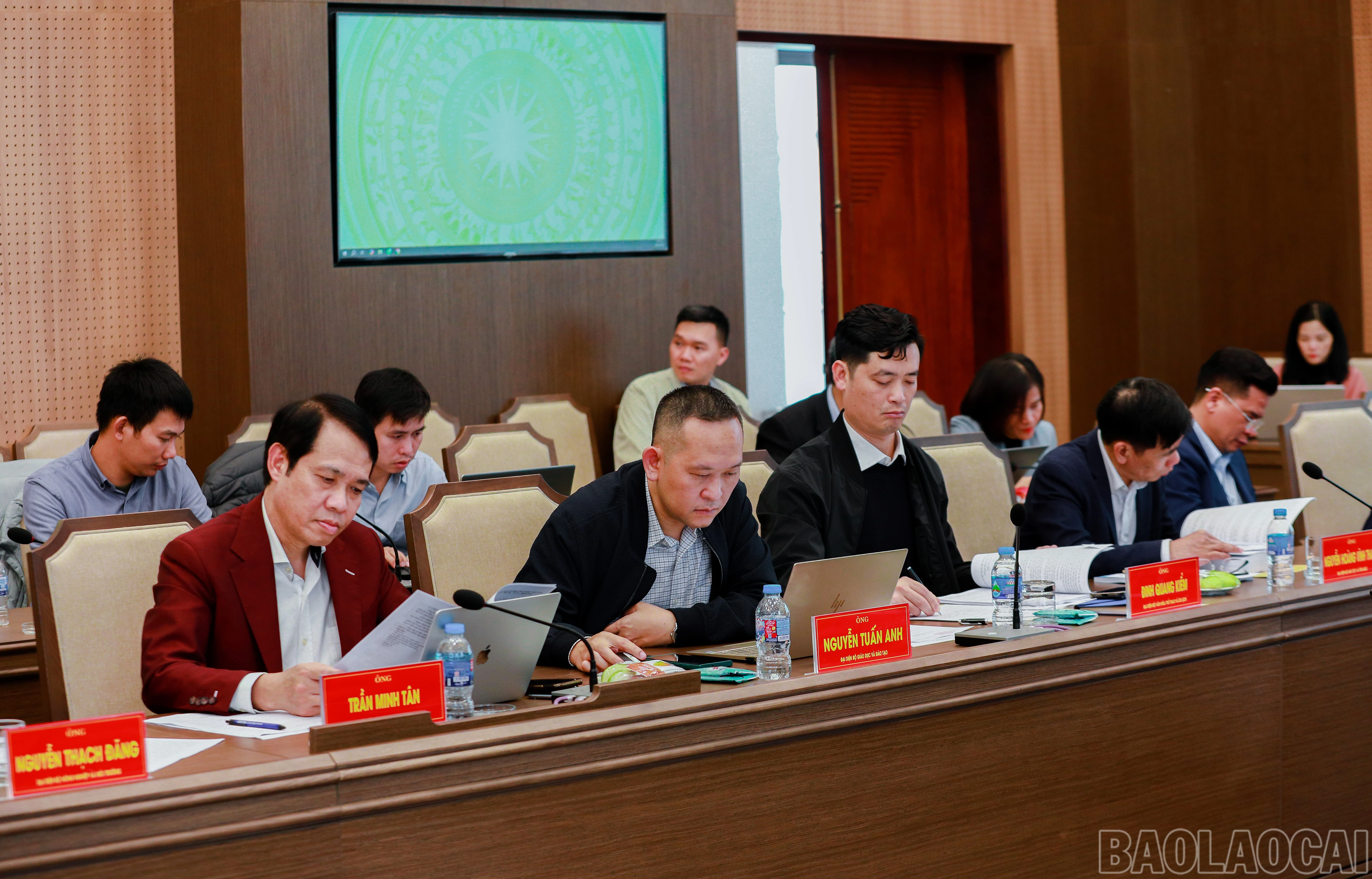 baolaocai-br_7j5a4489.jpg