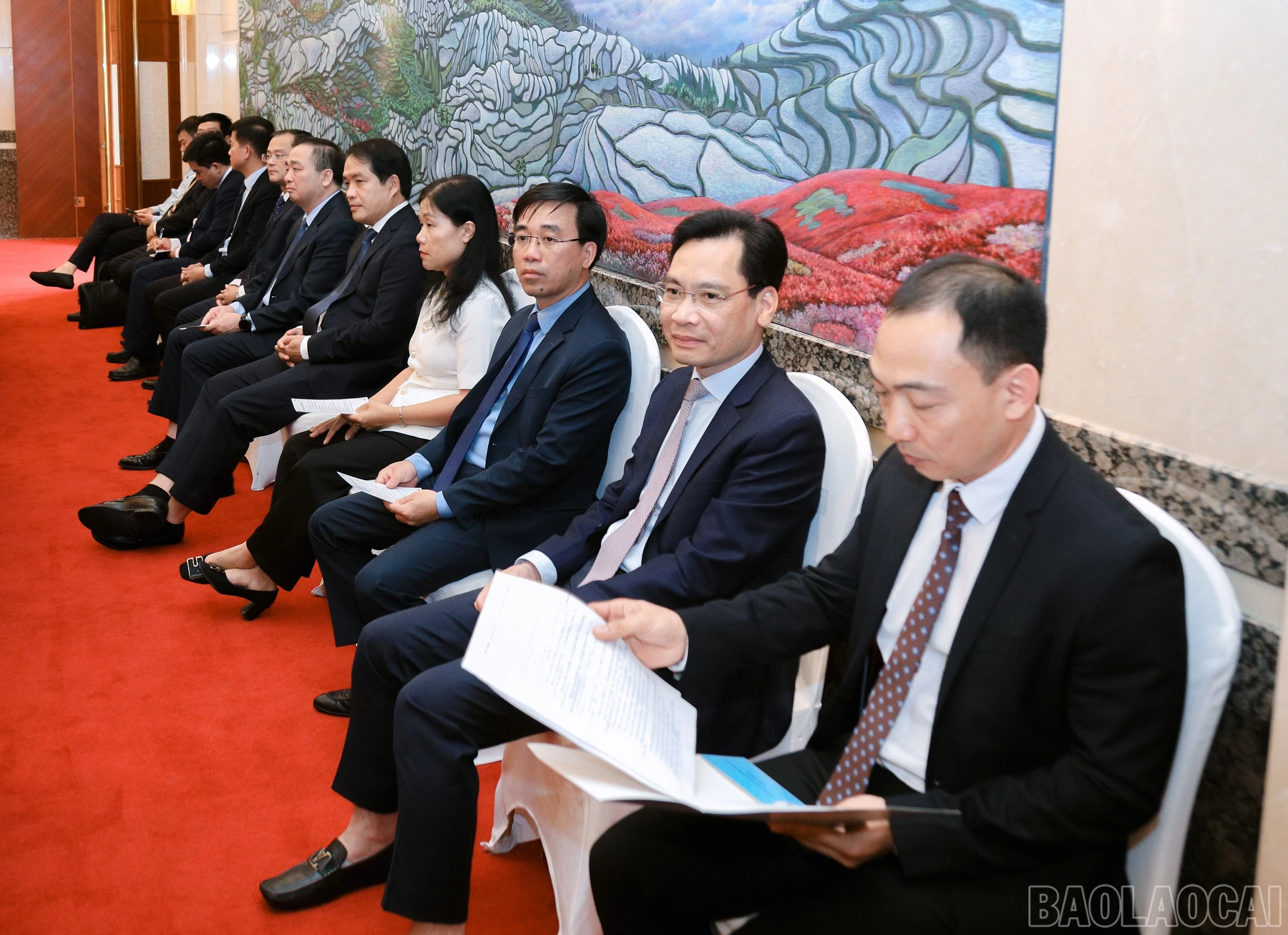 baolaocai-br_7j5a2669.jpg