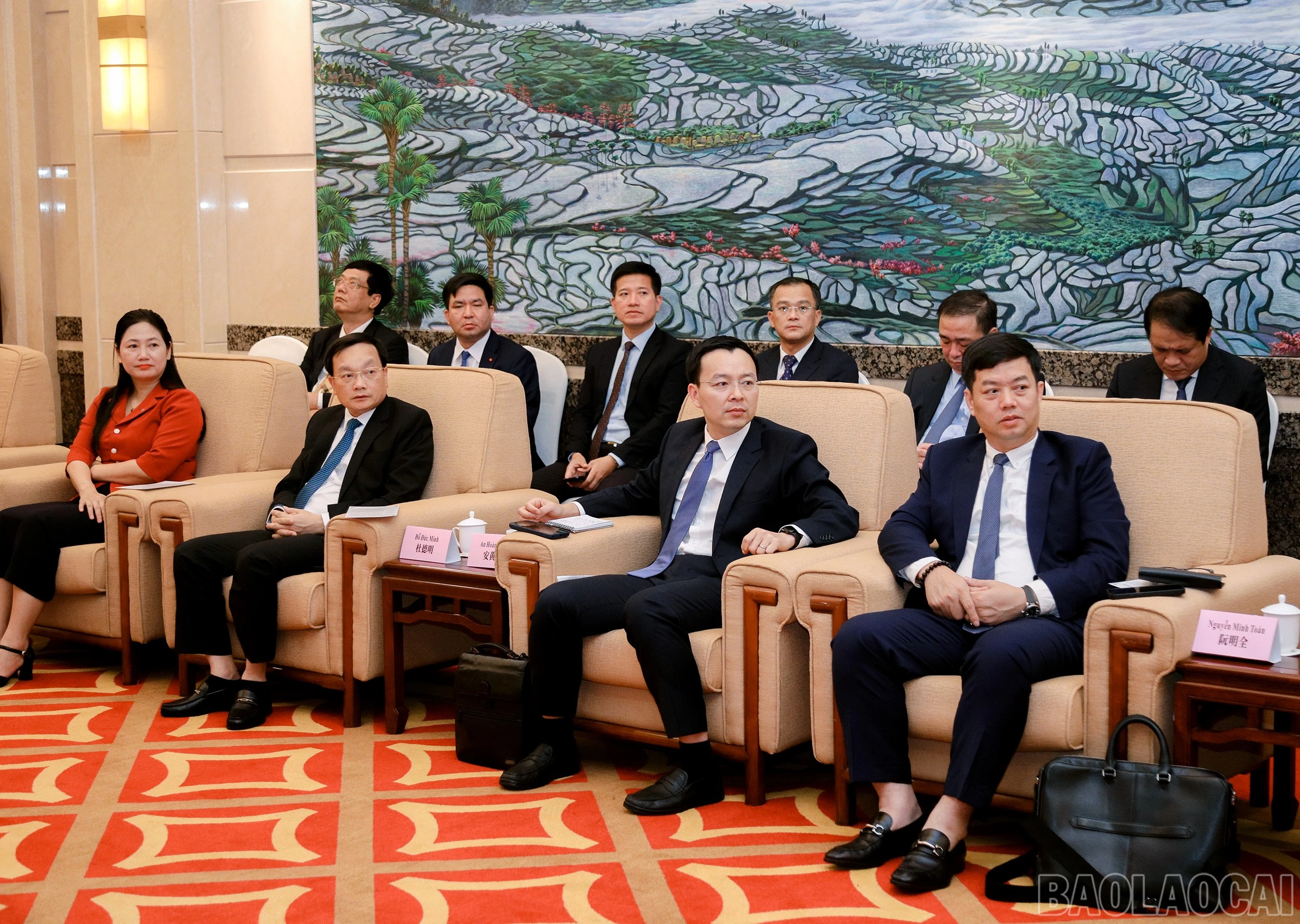 baolaocai-br_7j5a2688.jpg