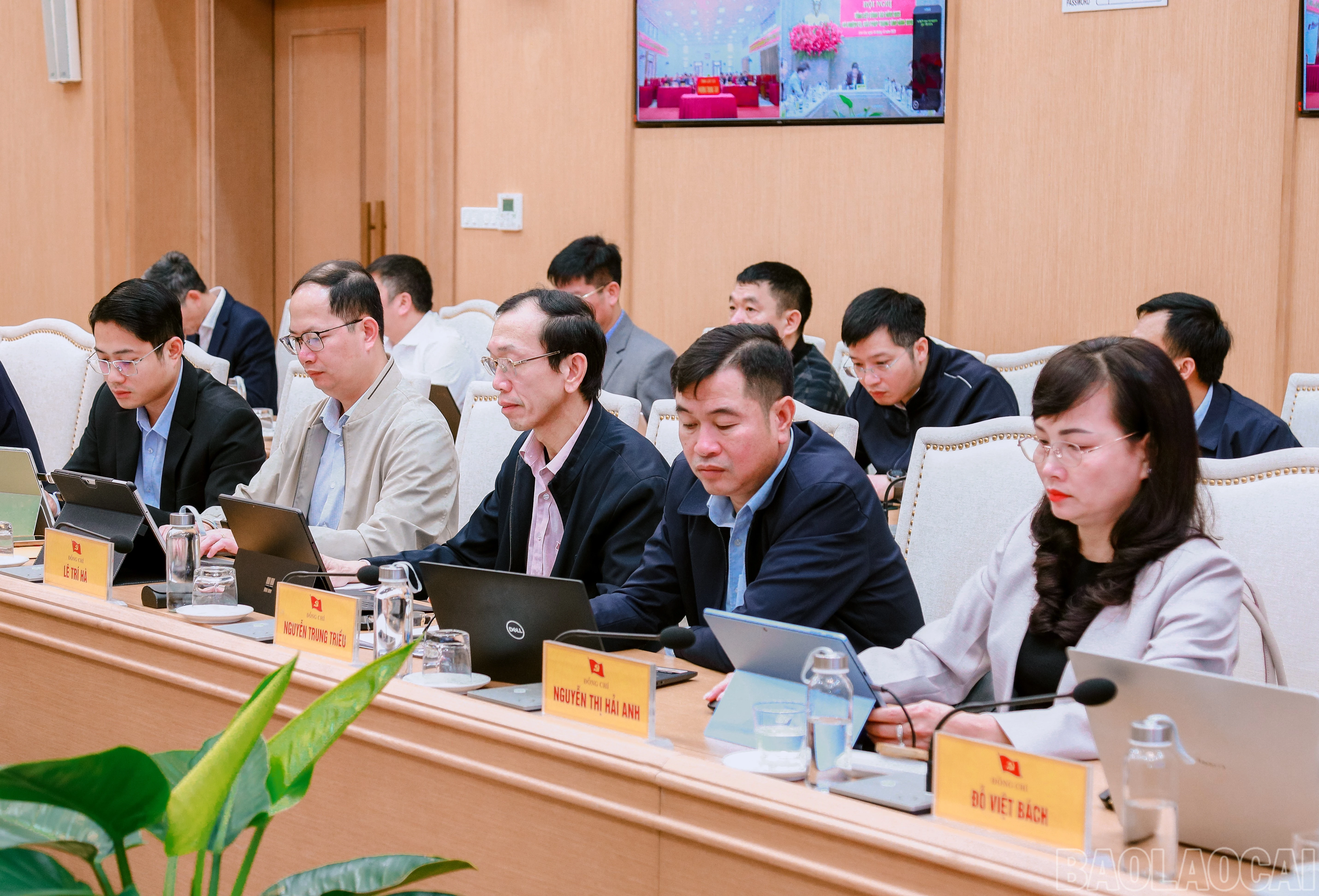baolaocai-br_7j5a0011.jpg