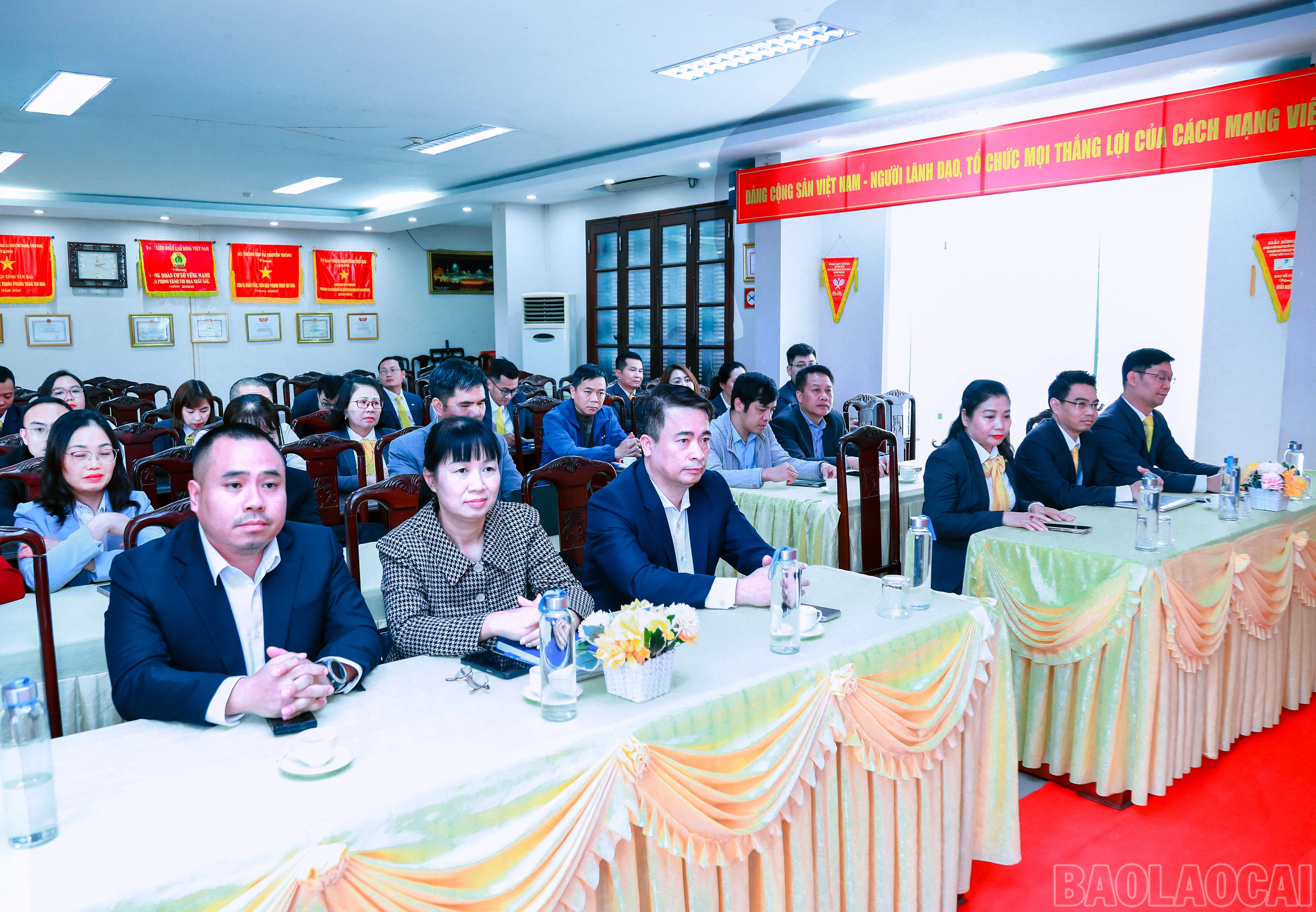 baolaocai-br_7j5a0136.jpg