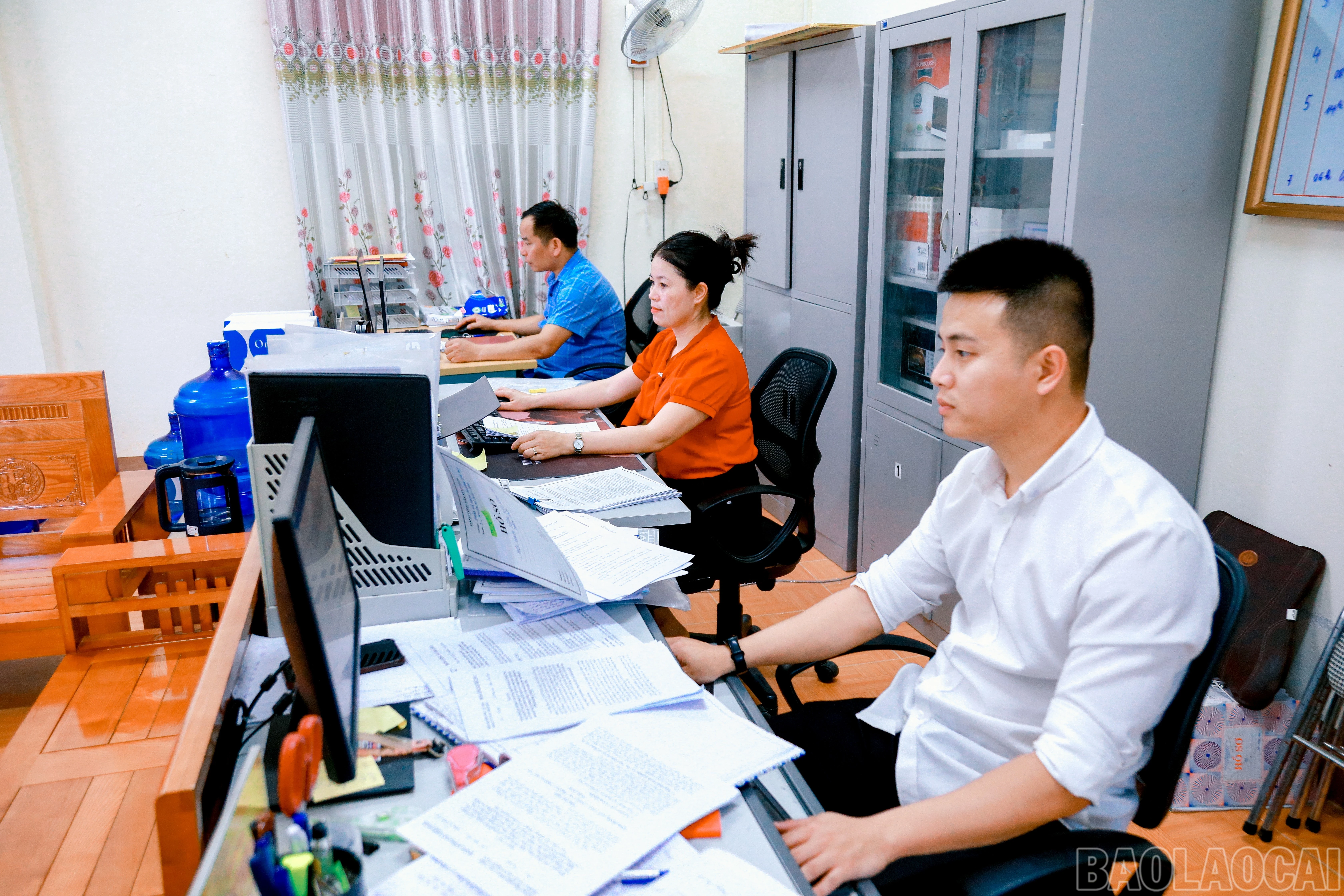 baolaocai-br_1-6817.jpg