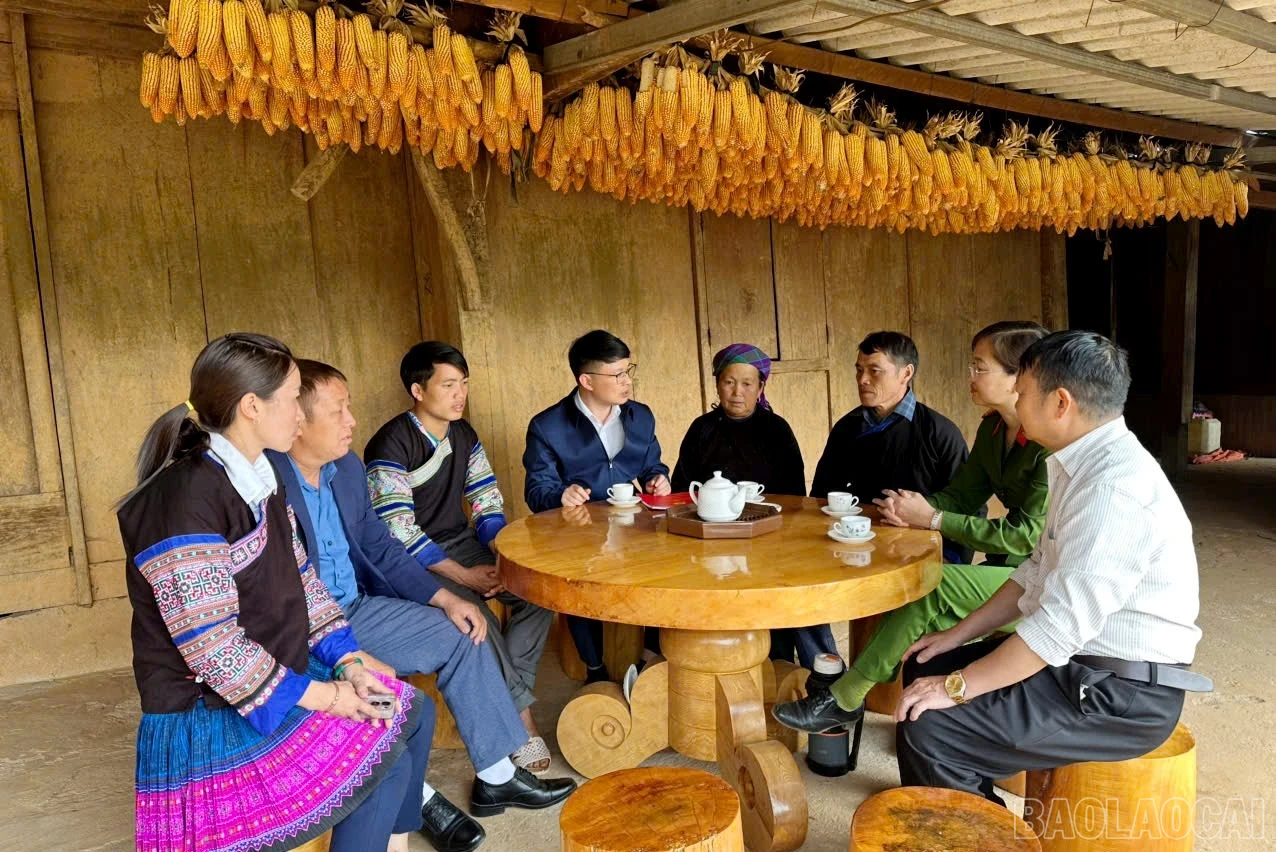 baolaocai-br_7.jpg
