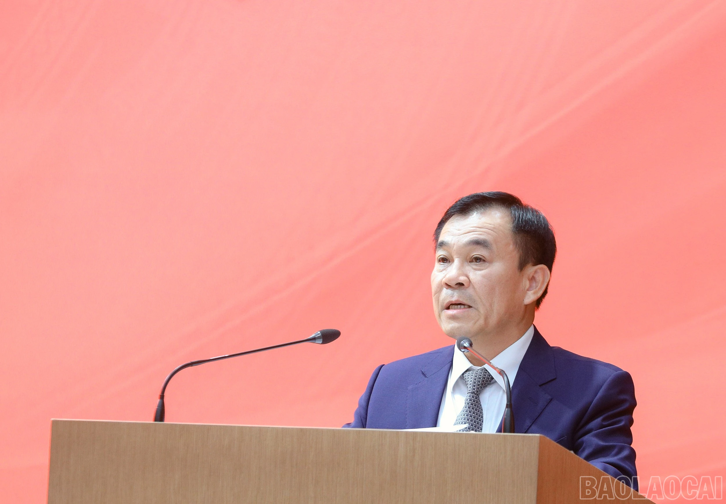 baolaocai-br_7j5a4680.jpg
