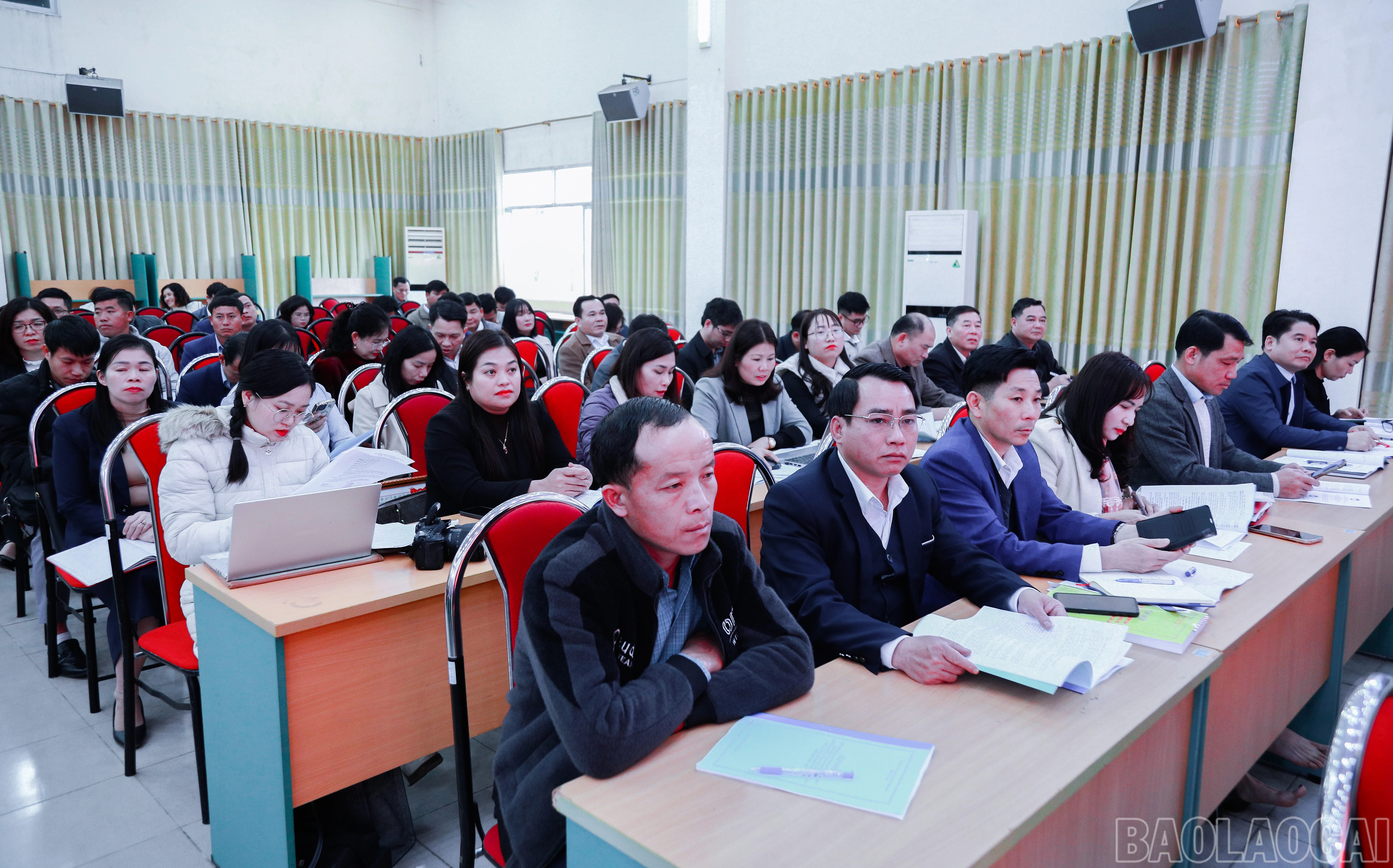 baolaocai-br_7j5a4440.jpg