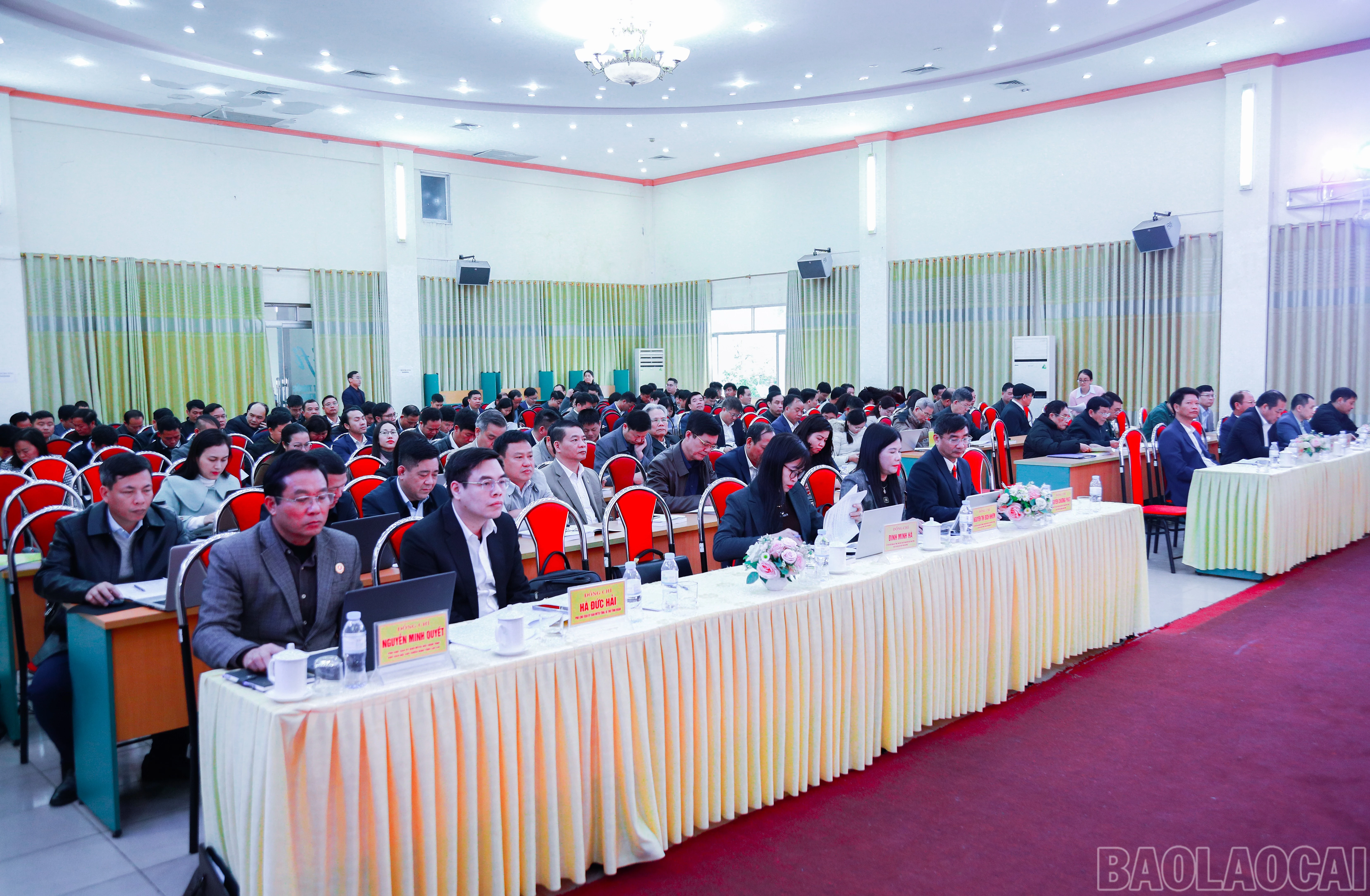 baolaocai-br_7j5a4377.jpg