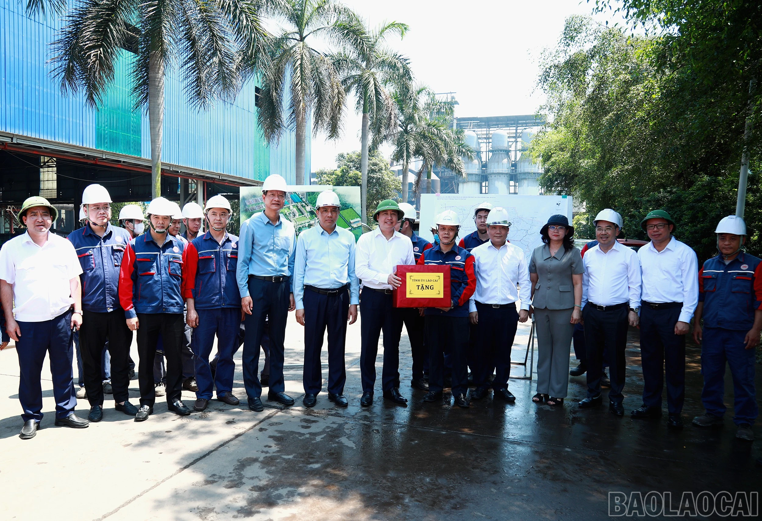 baolaocai-br_7j5a7754.jpg
