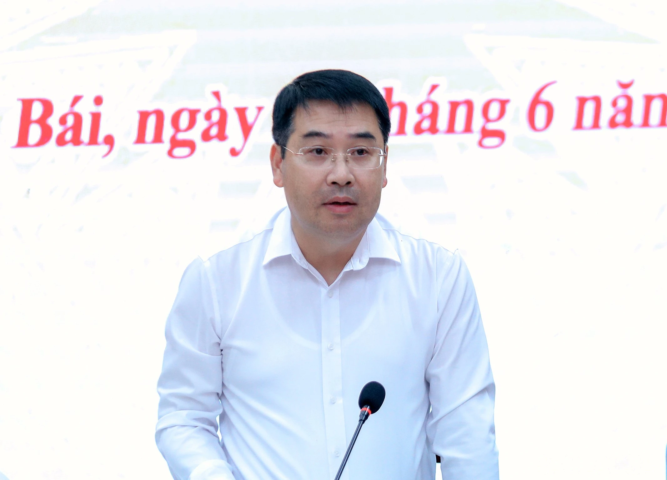 baolaocai-br_7j5a5884.jpg
