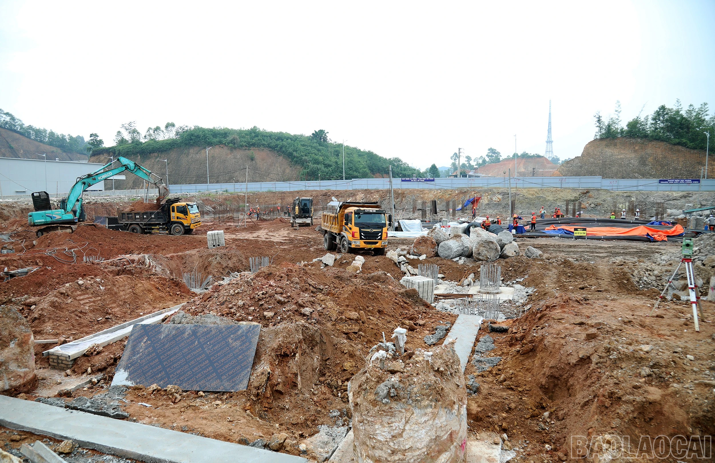 baolaocai-br_7j5a5667.jpg