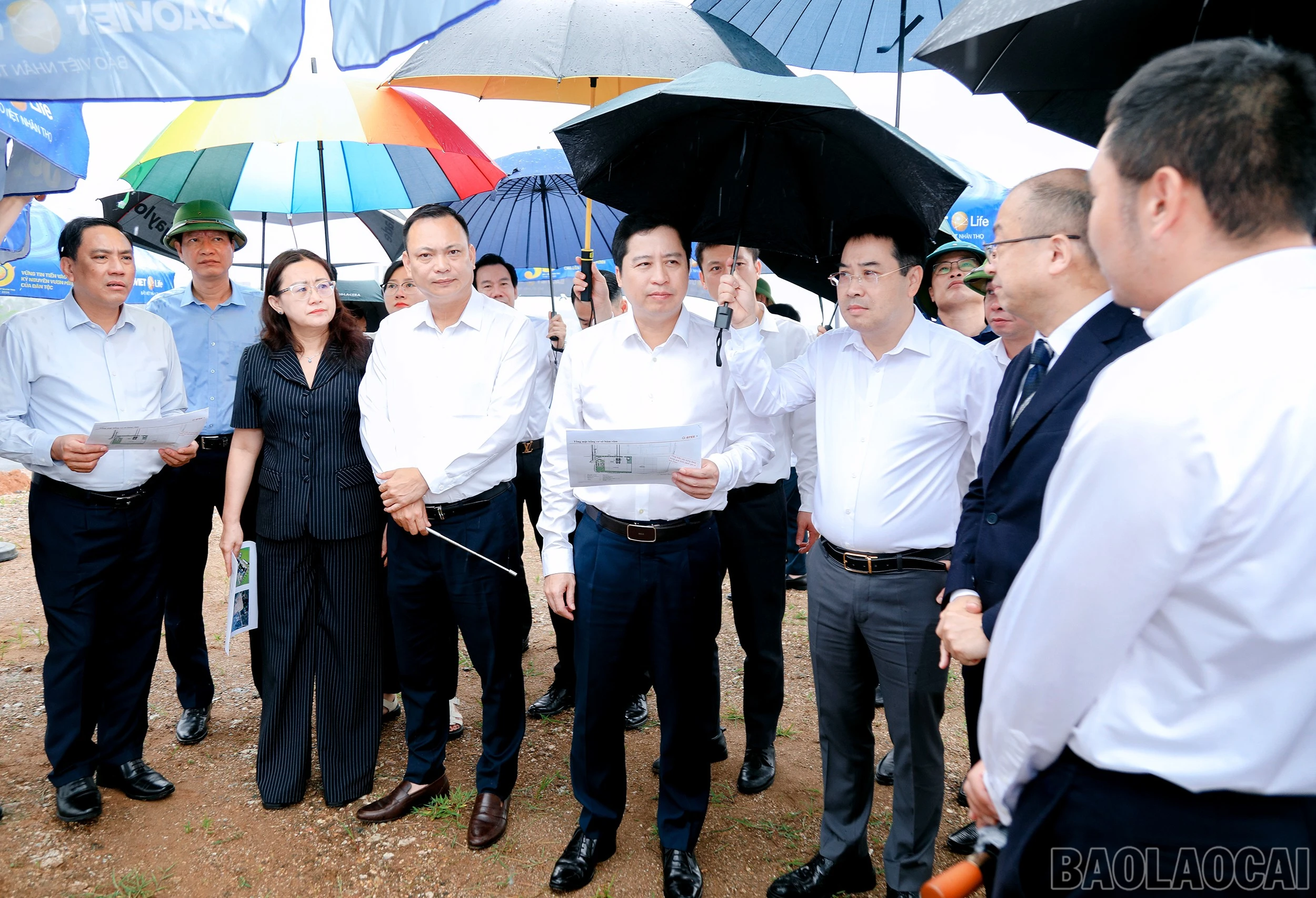 baolaocai-br_7j5a5305.jpg