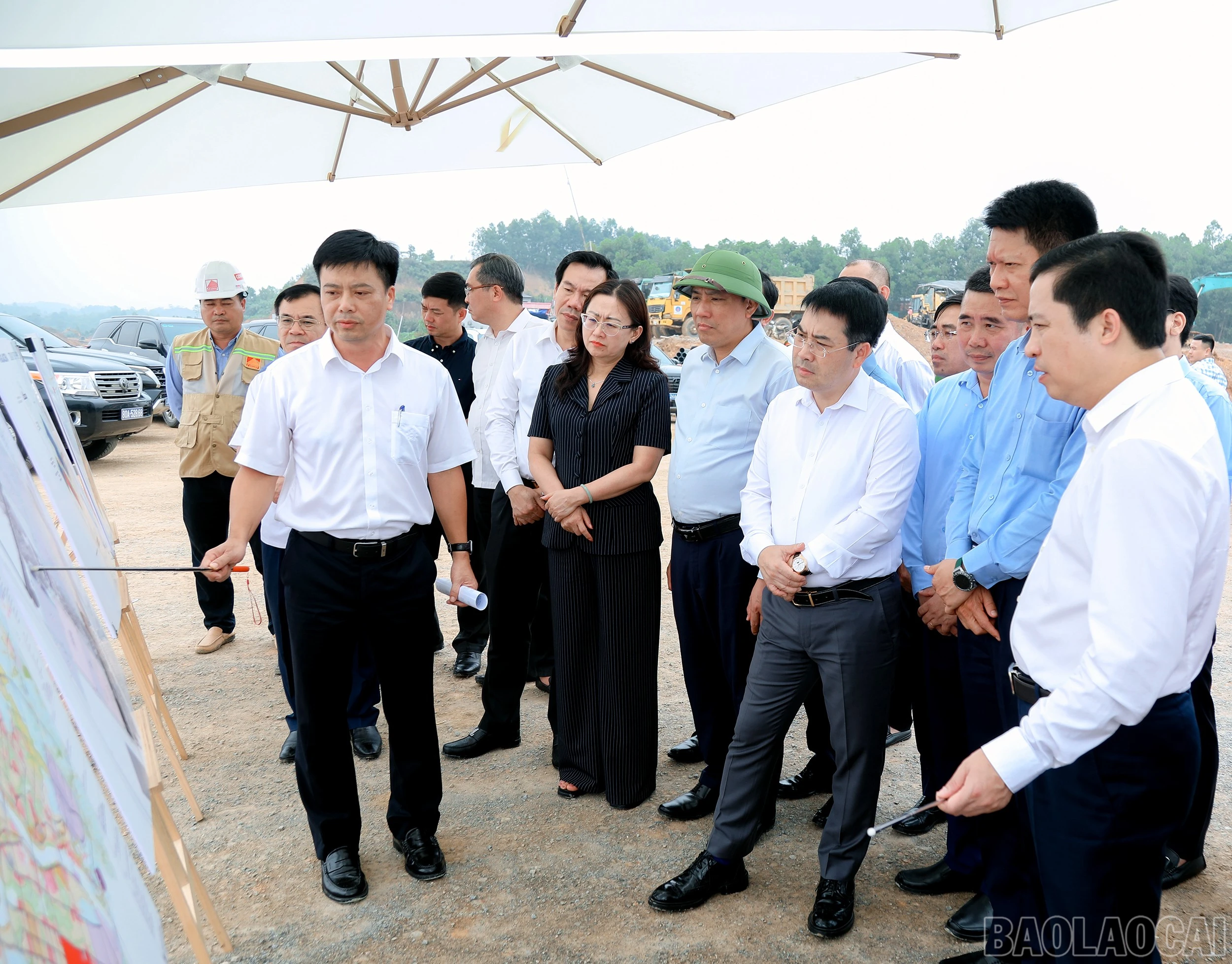 baolaocai-br_7j5a5641.jpg