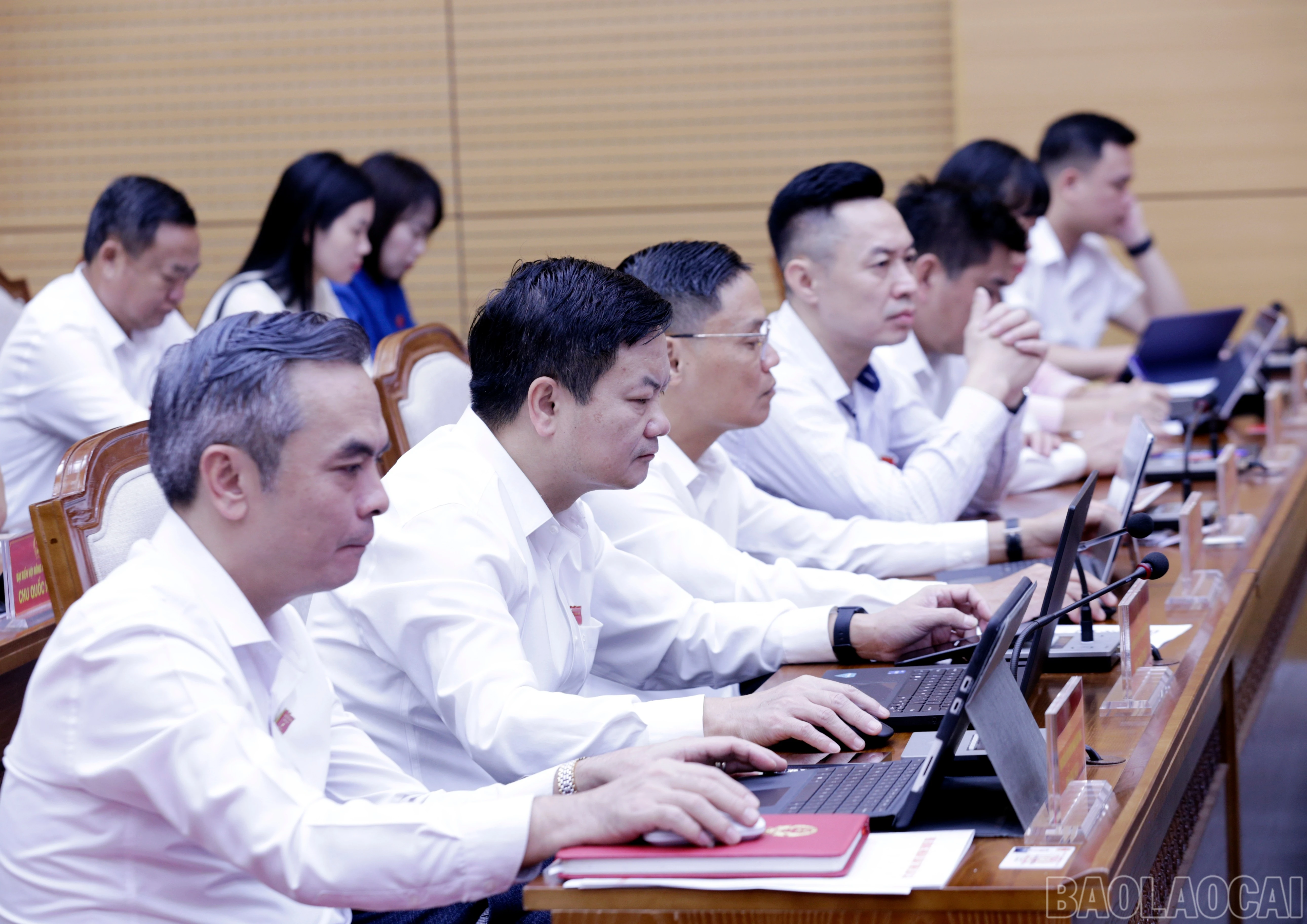 baolaocai-br_mg-9891.jpg
