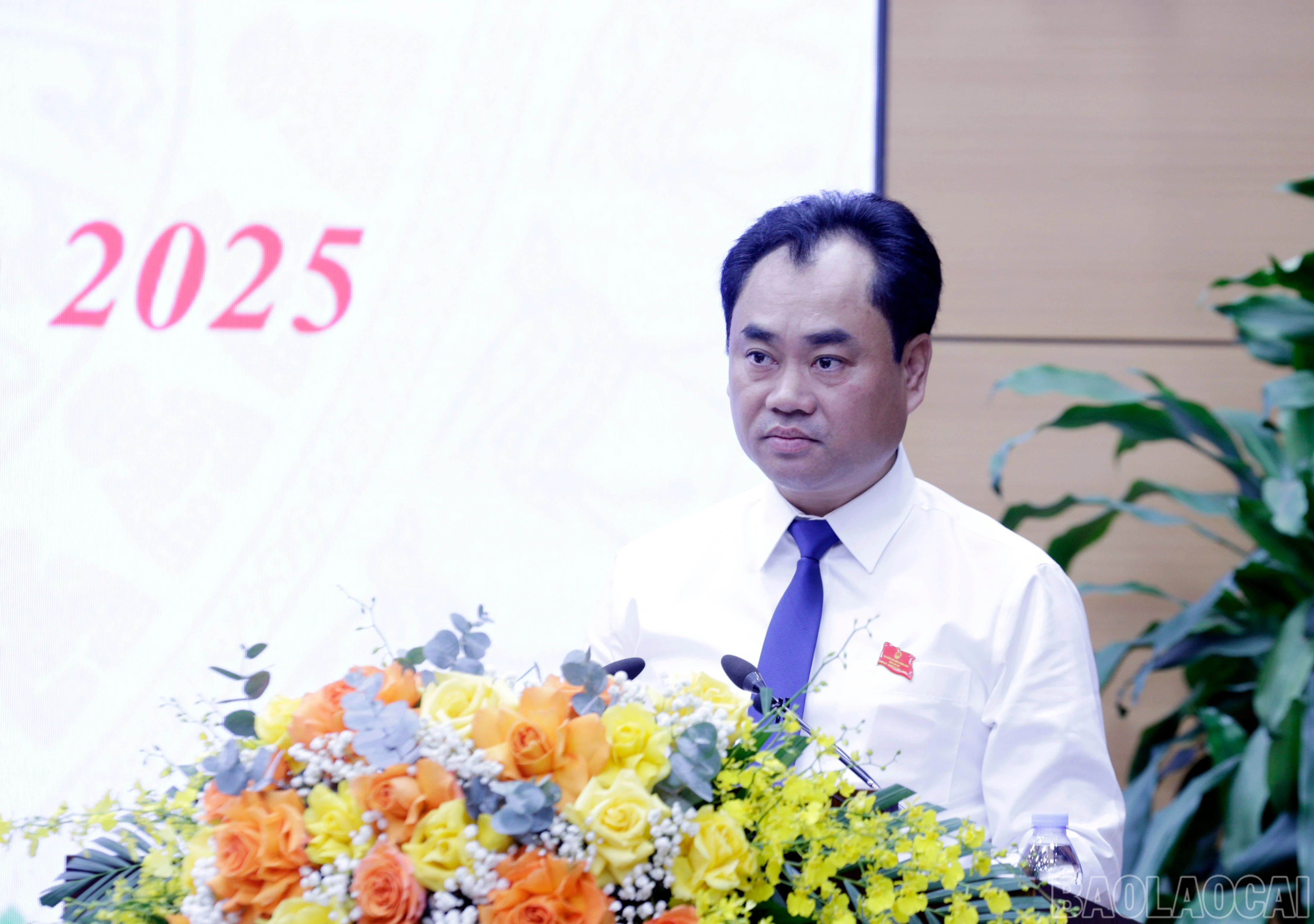 baolaocai-br_mg-9880.jpg