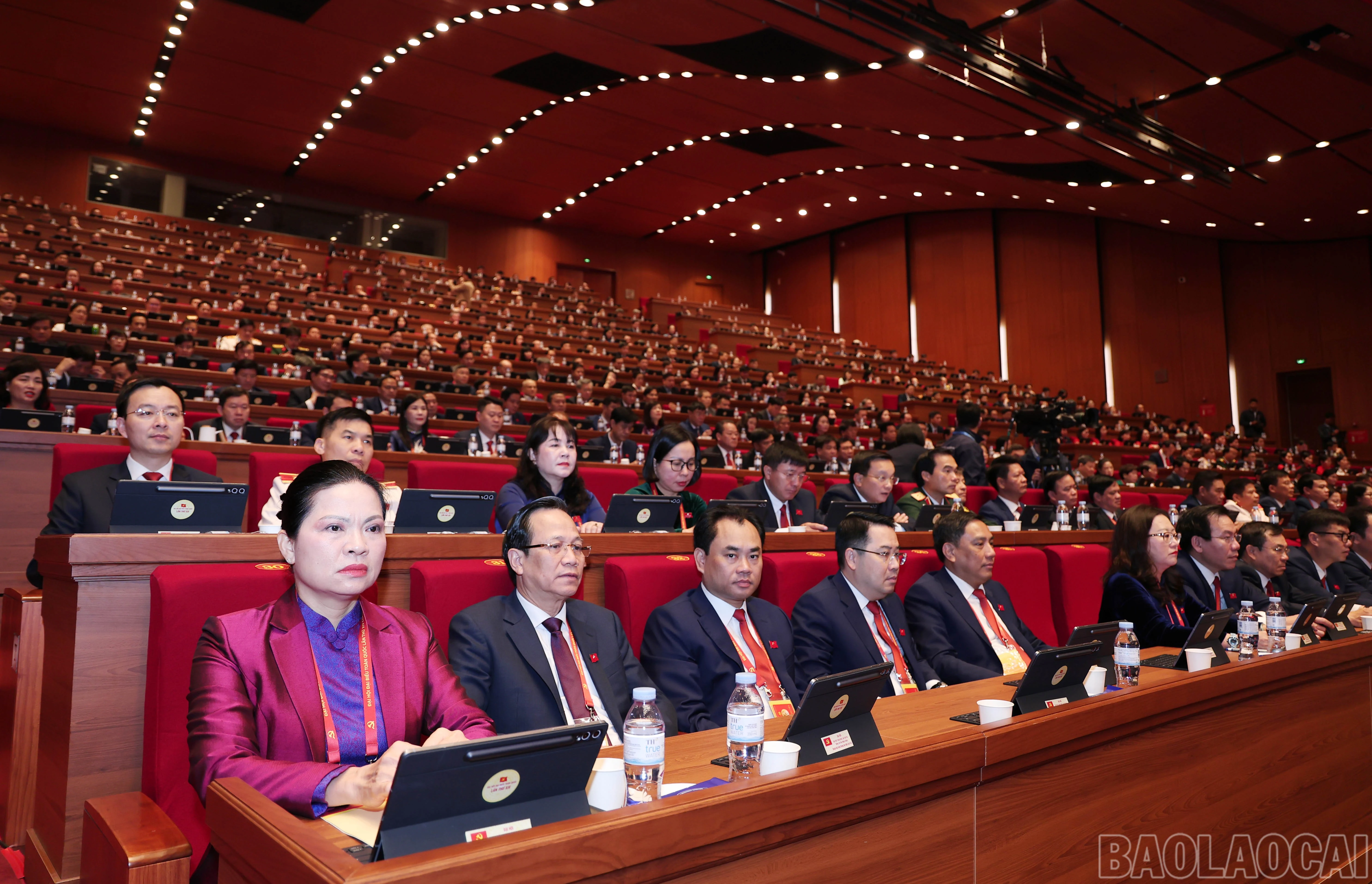 baolaocai-br_img-7461.jpg