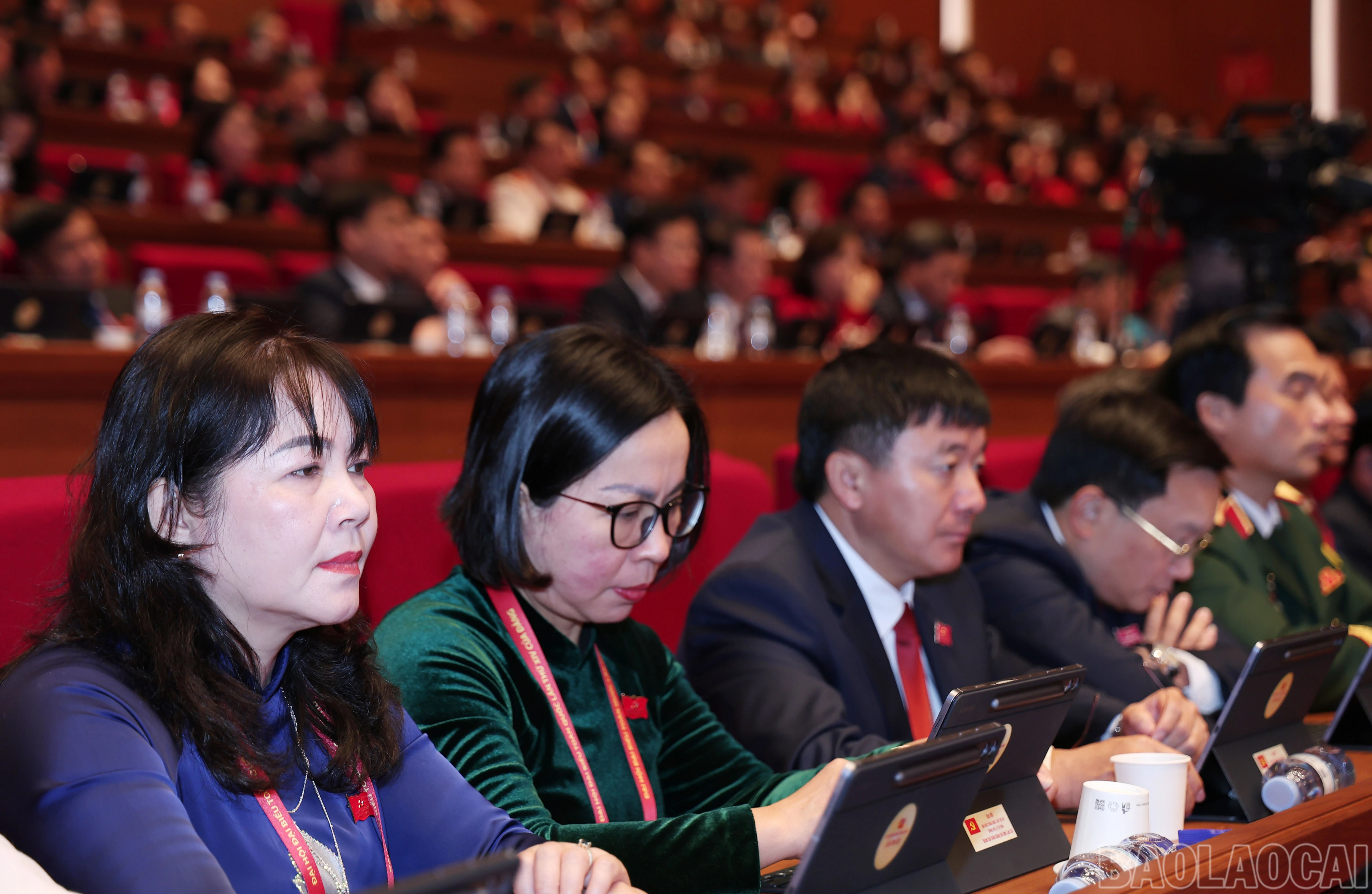 baolaocai-br_img-7489.jpg