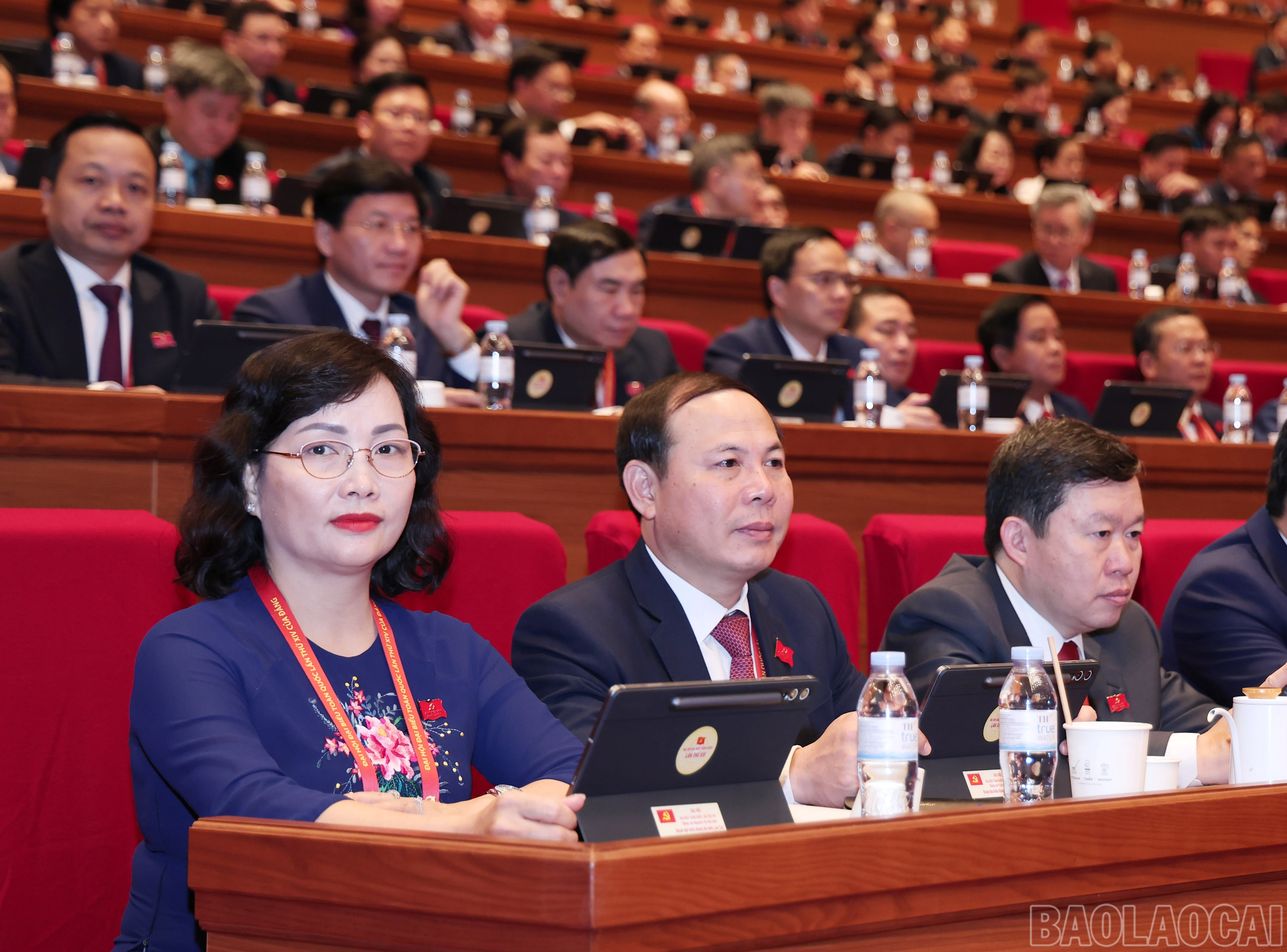 baolaocai-br_img-7428.jpg