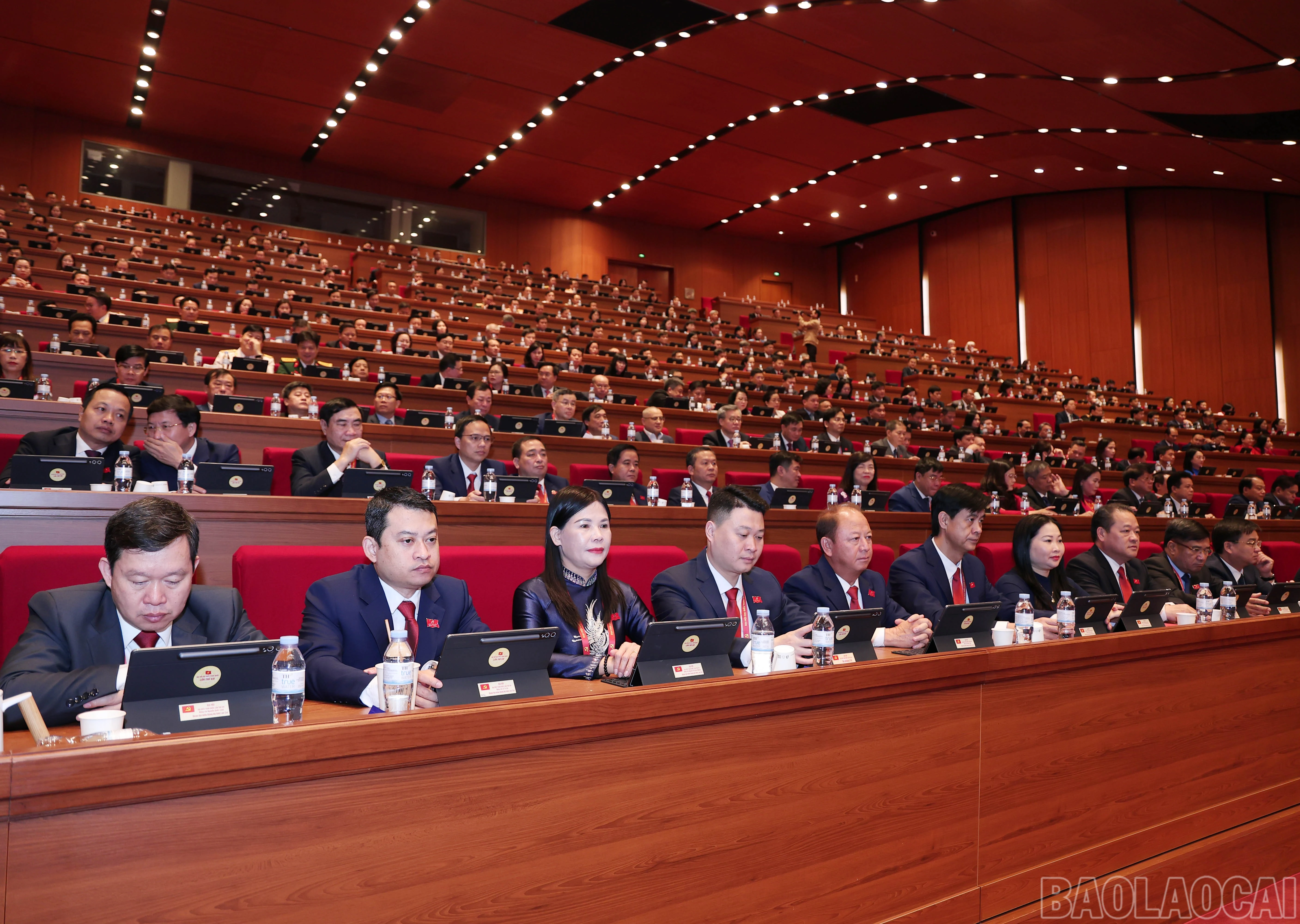 baolaocai-br_img-7438.jpg