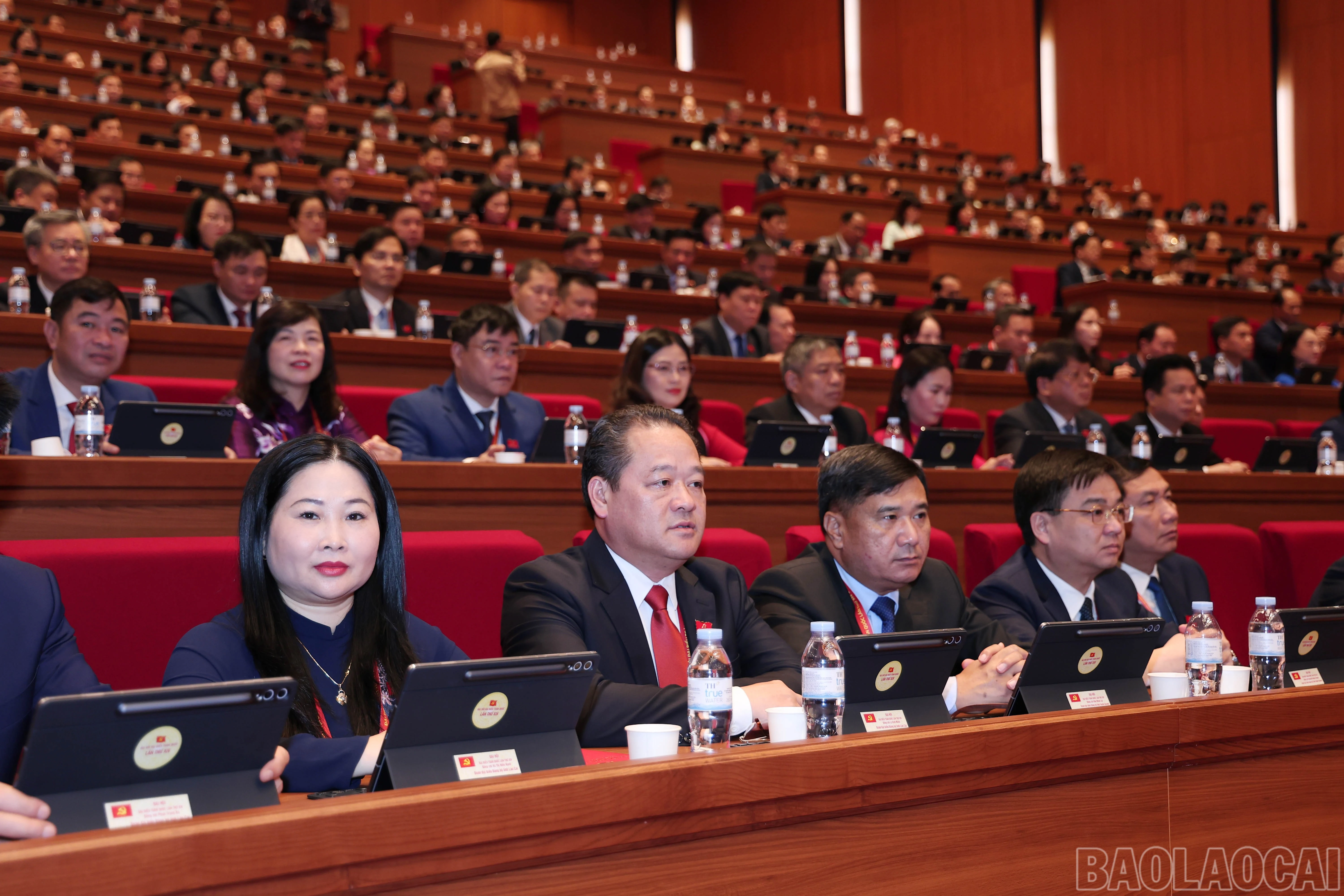 baolaocai-br_img-7449.jpg