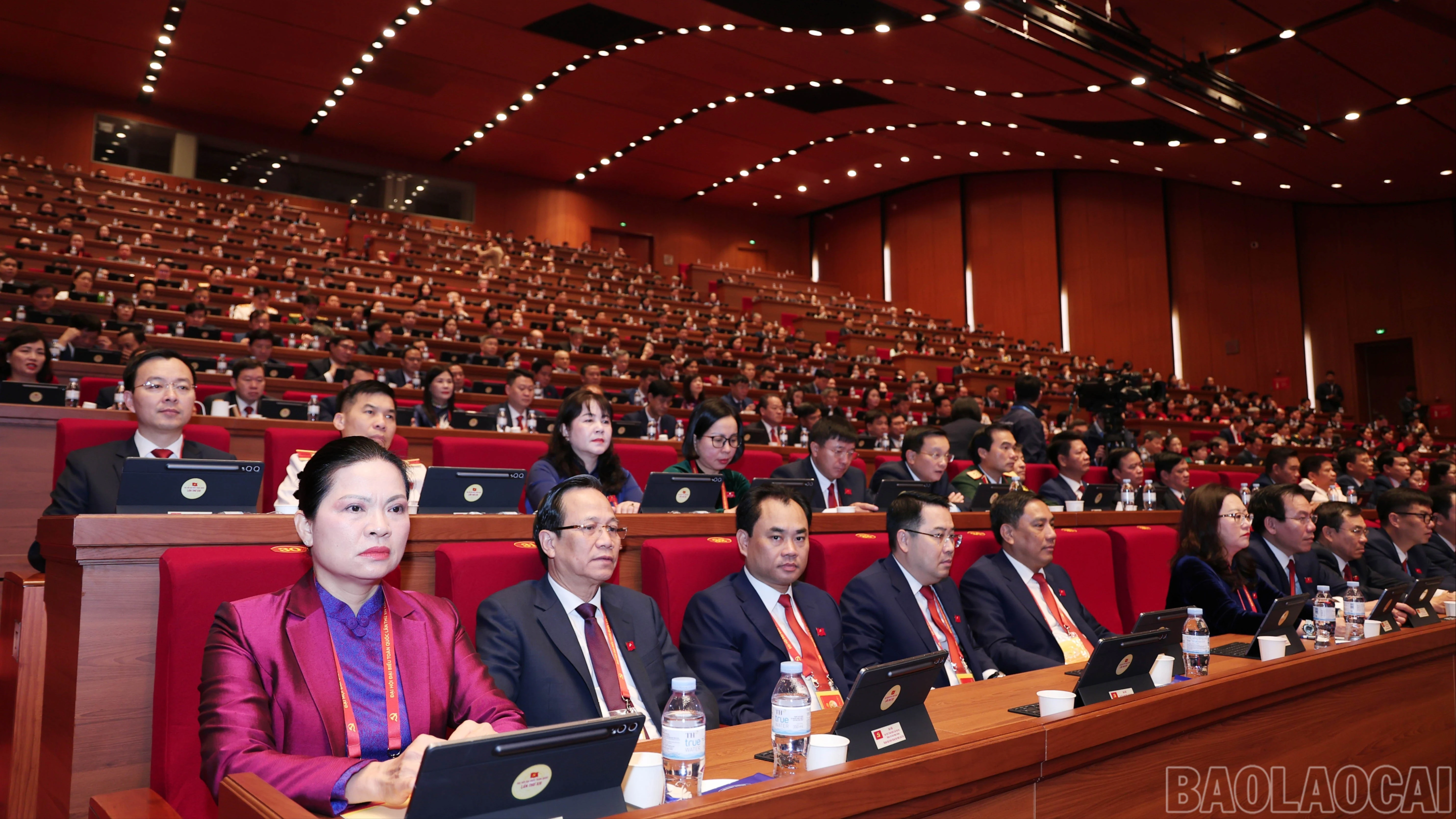 baolaocai-br-img-7461.jpg