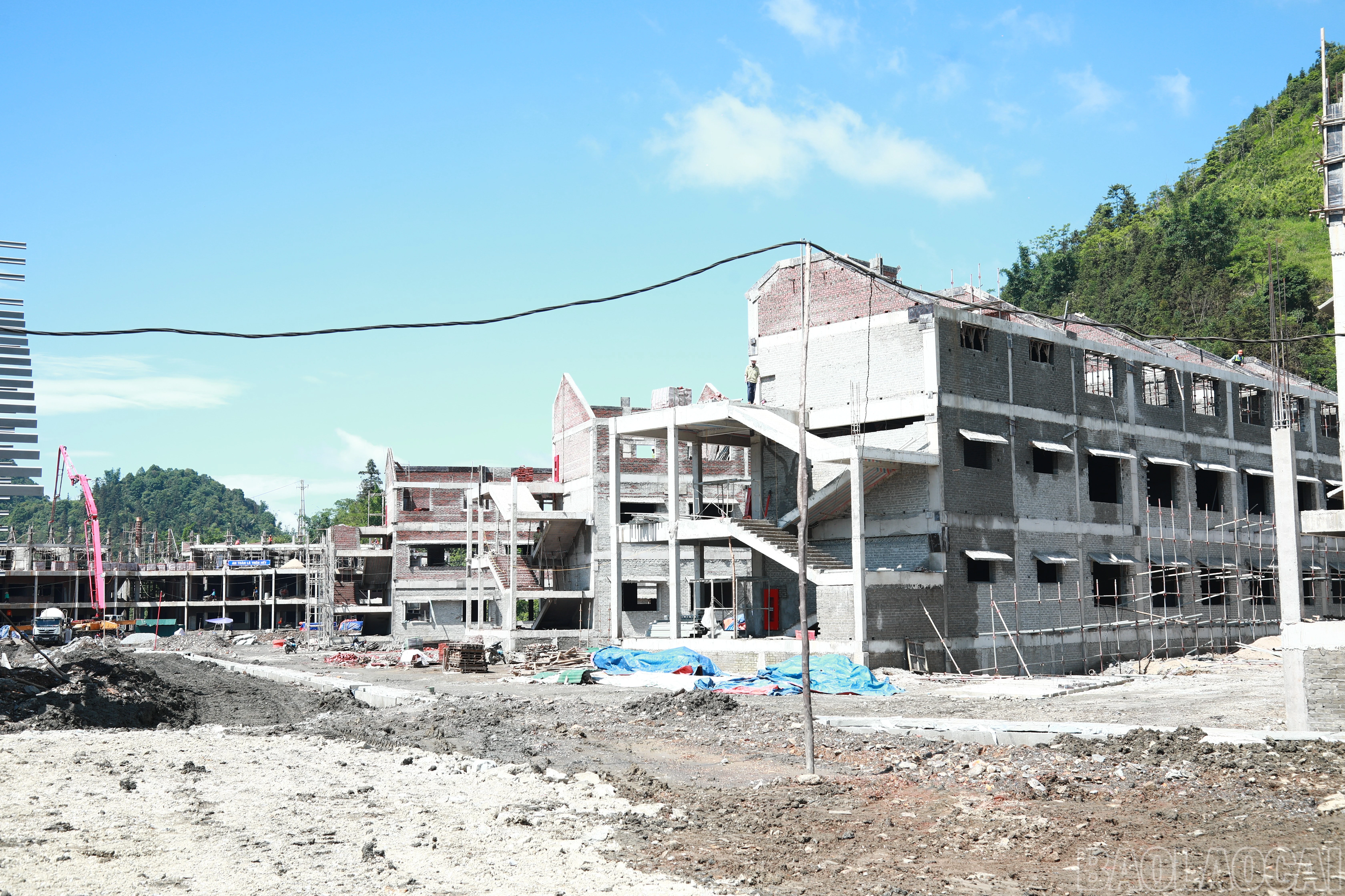 baolaocai-br_7j5a6768.jpg