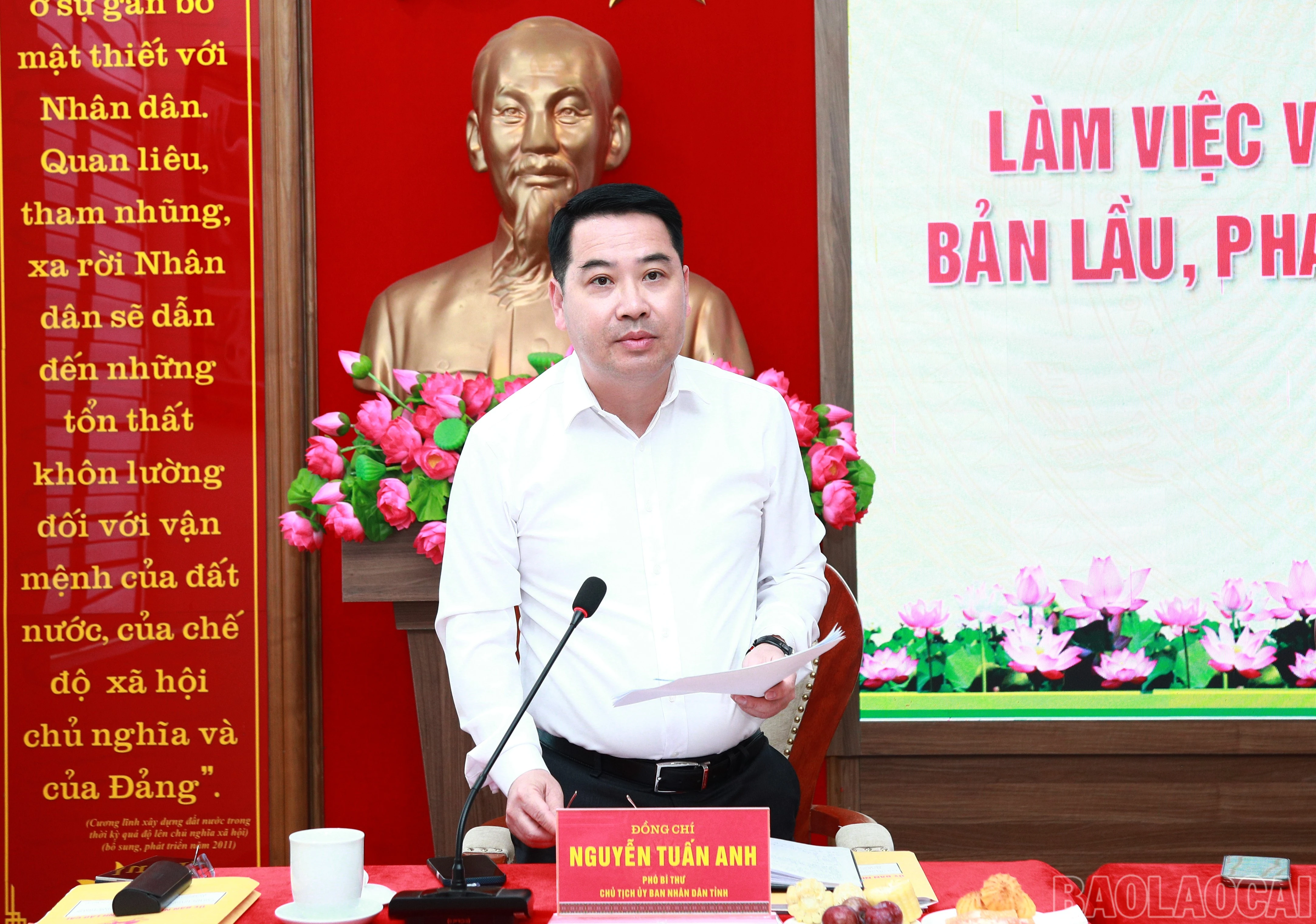 baolaocai-br_7j5a7184.jpg