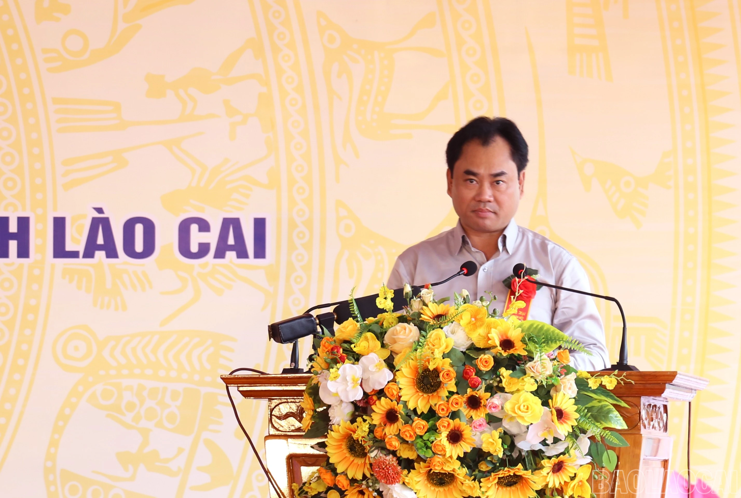 baolaocai-br_img-0791.jpg