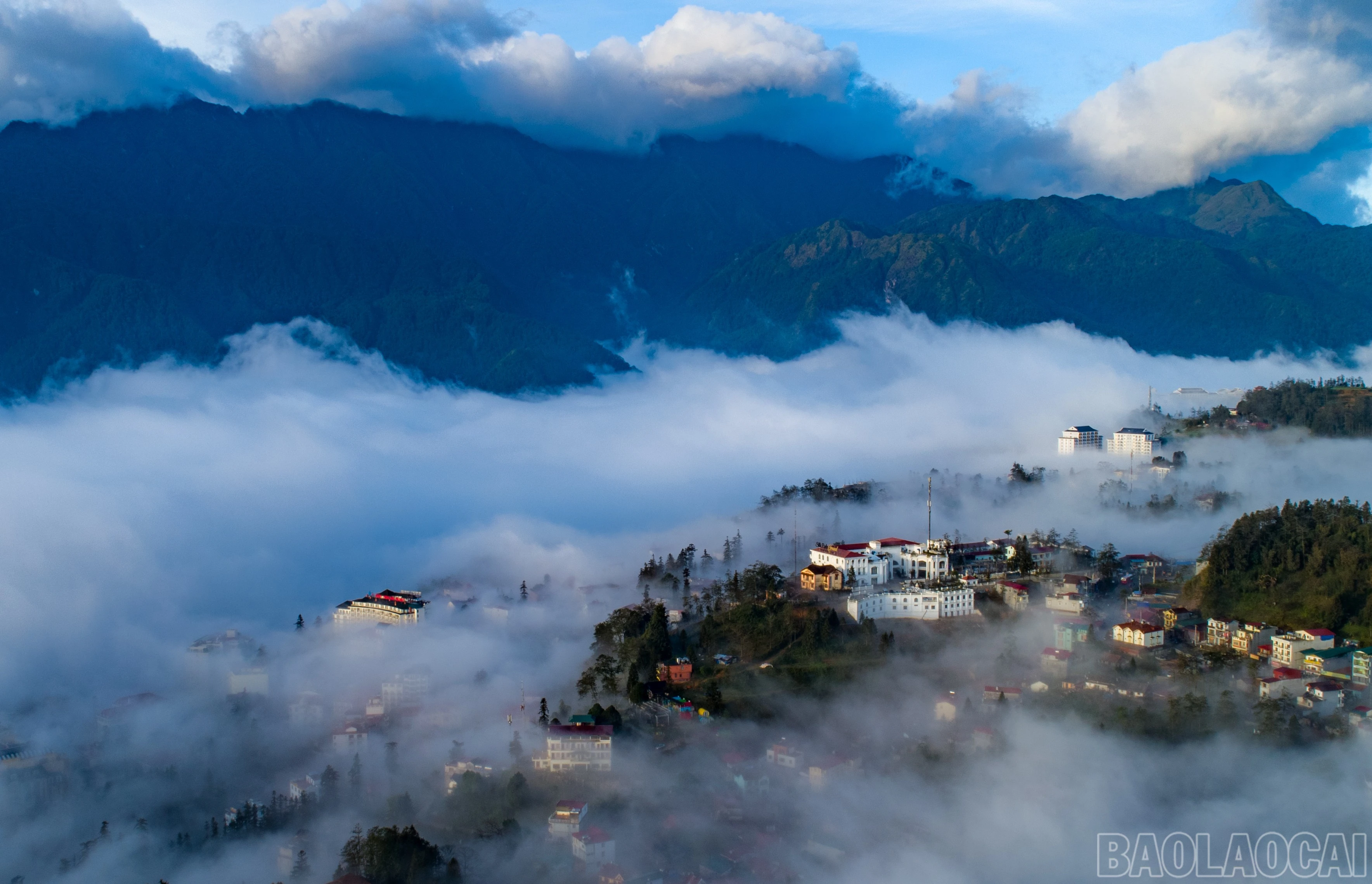 baolaocai-br_z6894508916117-9d8551d4aa28a58eebec5db7480256fa.jpg