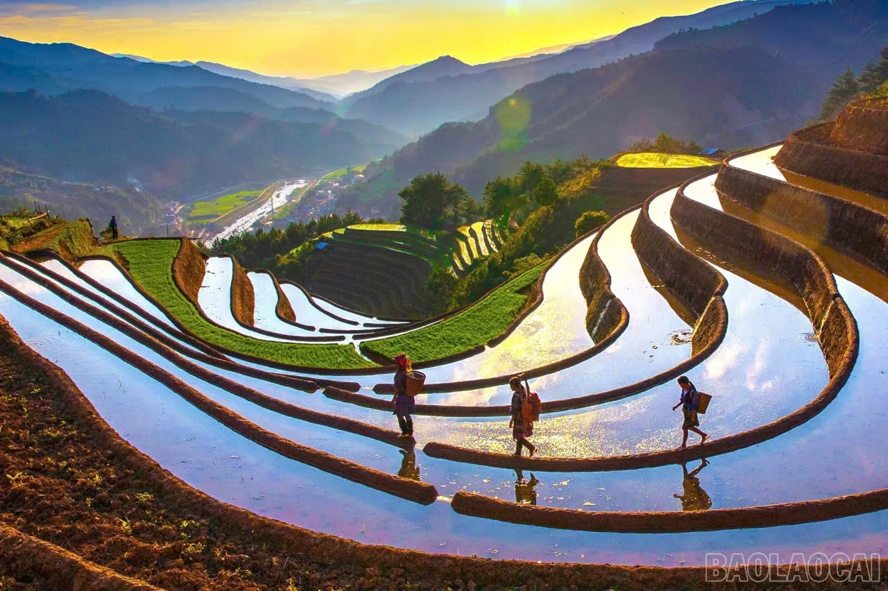 baolaocai-br_gen-h-z7190271390622-88254e516eab86ad7fa9883f77a8f7f6.jpg