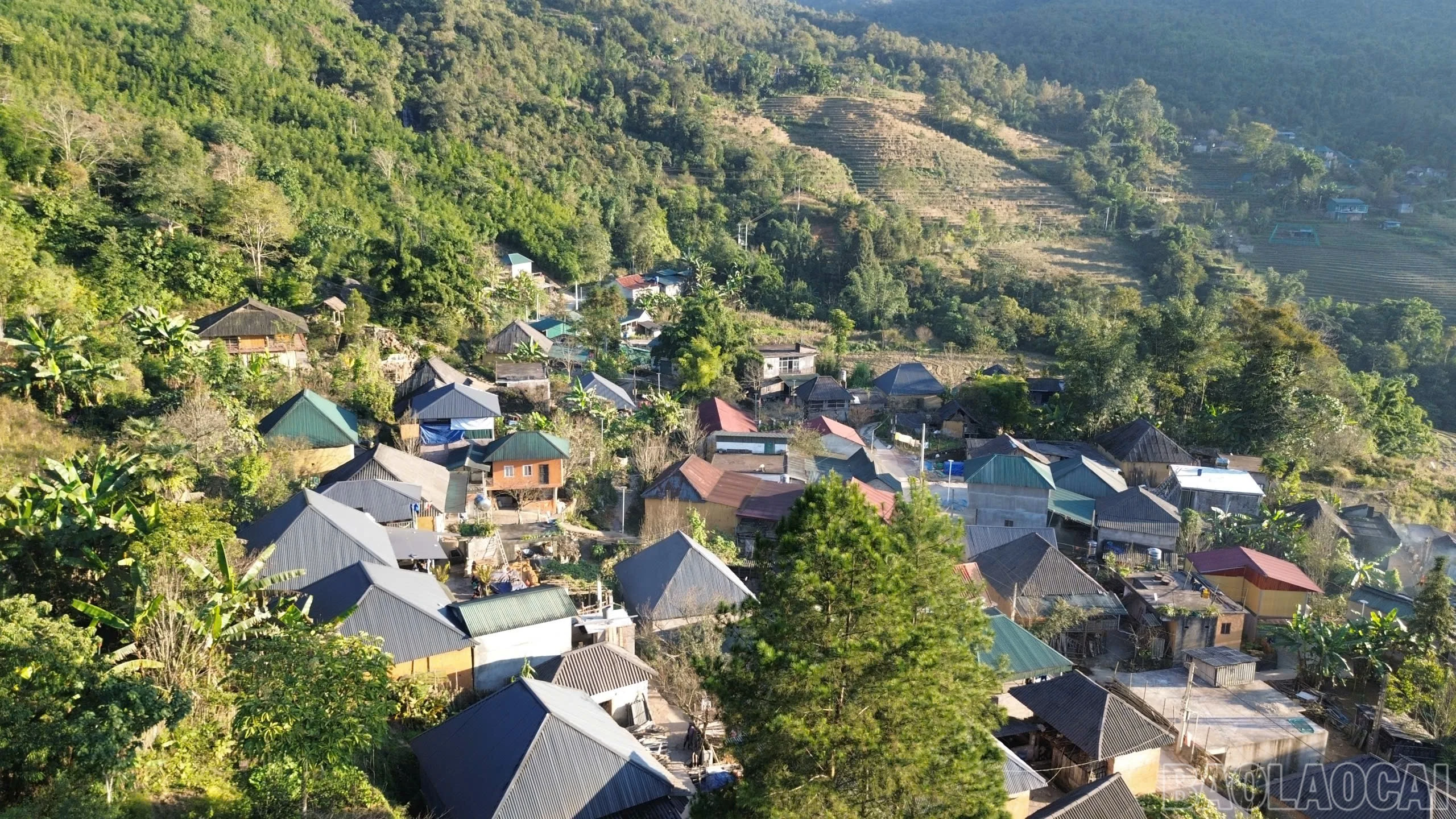 baolaocai-br_gen-h-z7332024536649-d614263198db094867e9e0dde9b1276d.jpg