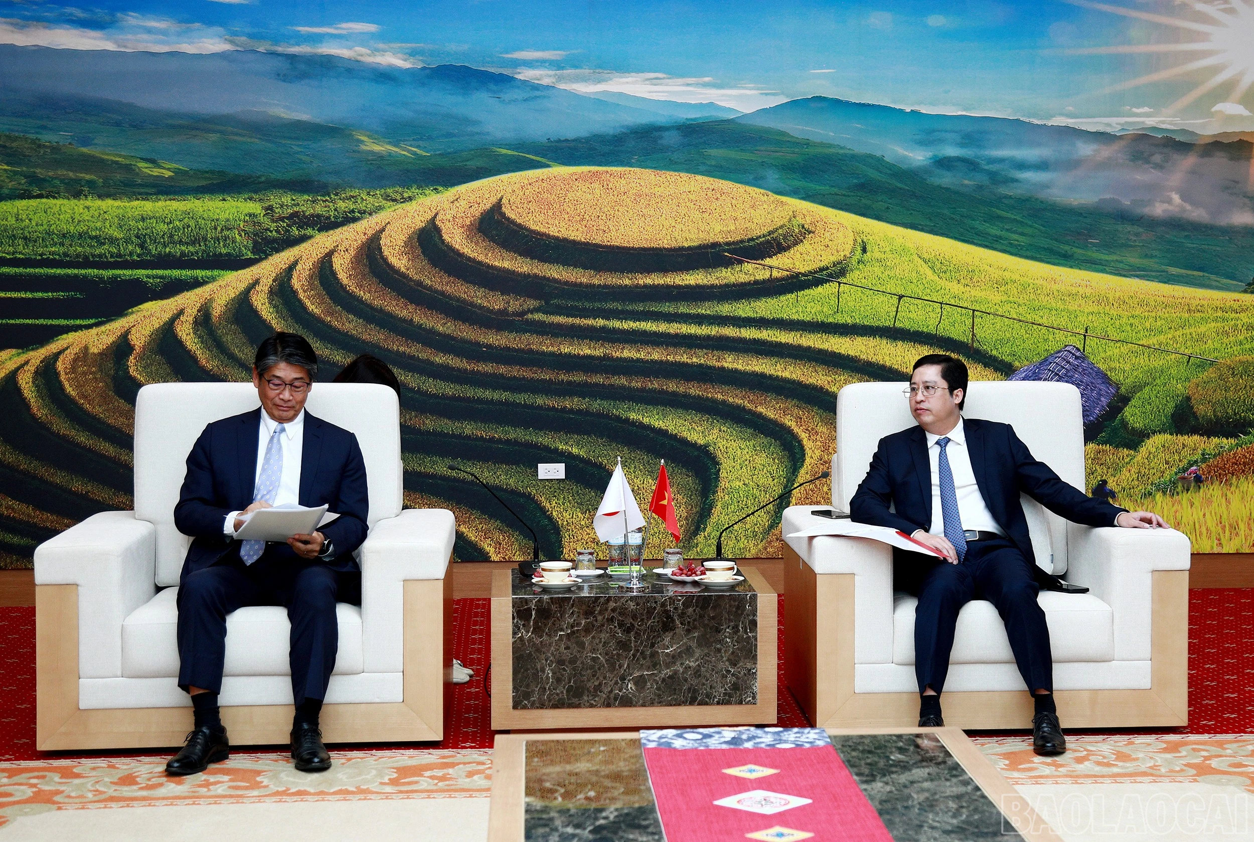 baolaocai-br_7j5a9643.jpg