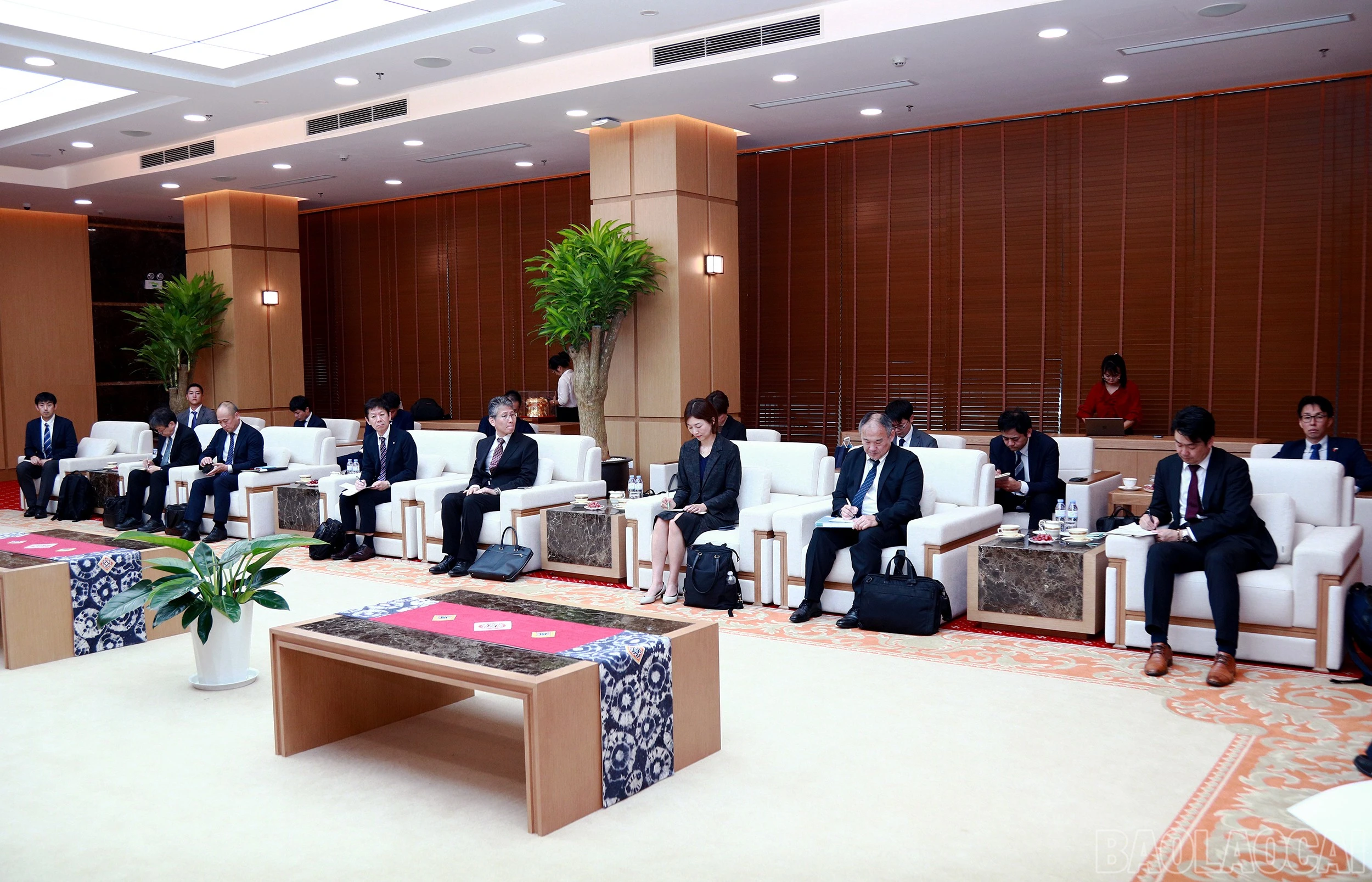 baolaocai-br_7j5a9691.jpg