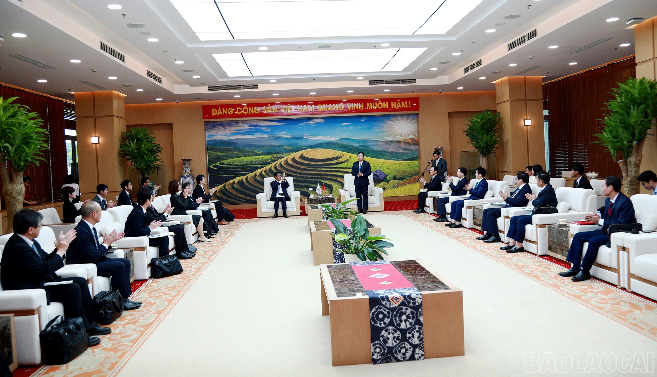 baolaocai-br_7j5a9618.jpg